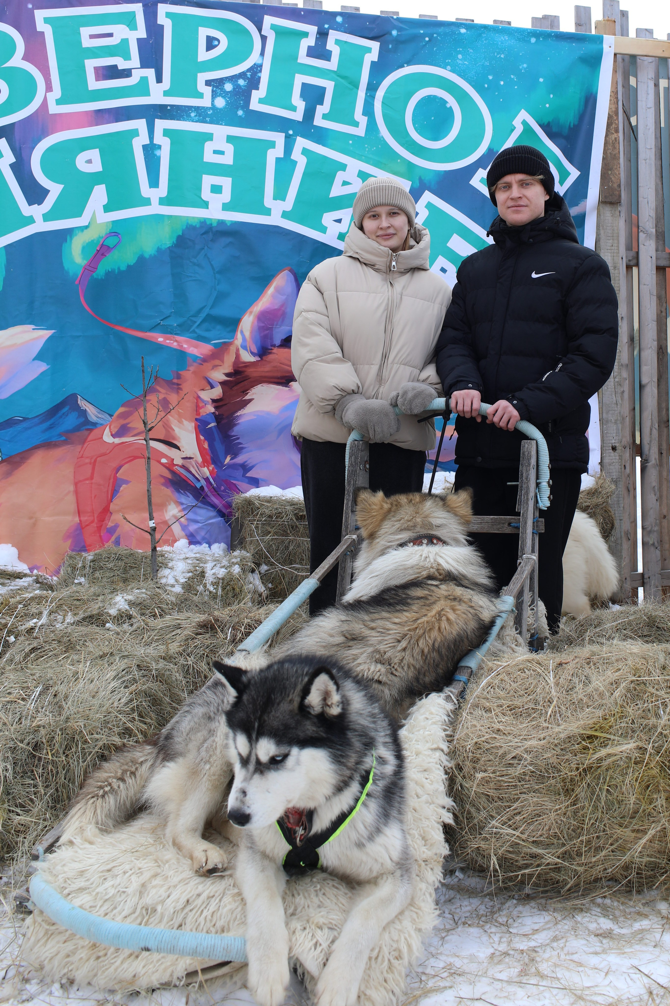 Наши партнеры. Иволга74