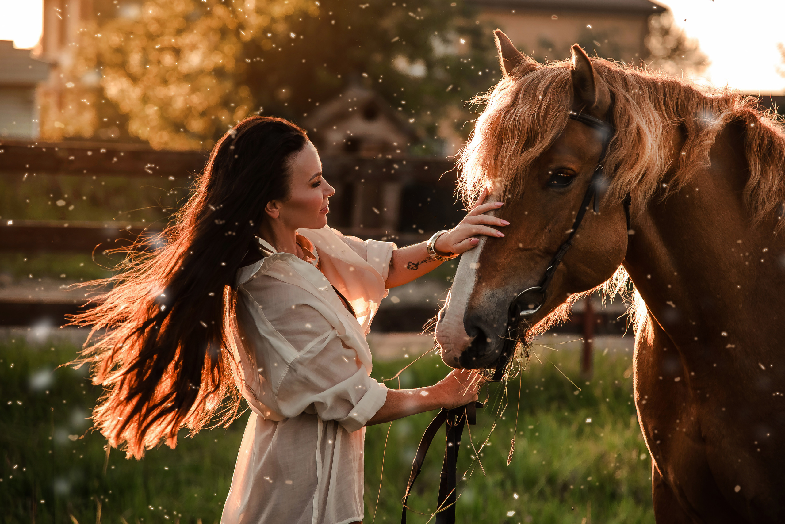 Фотосессии с лошадьми. Контент фотограф в Москве Лихачева Ксения