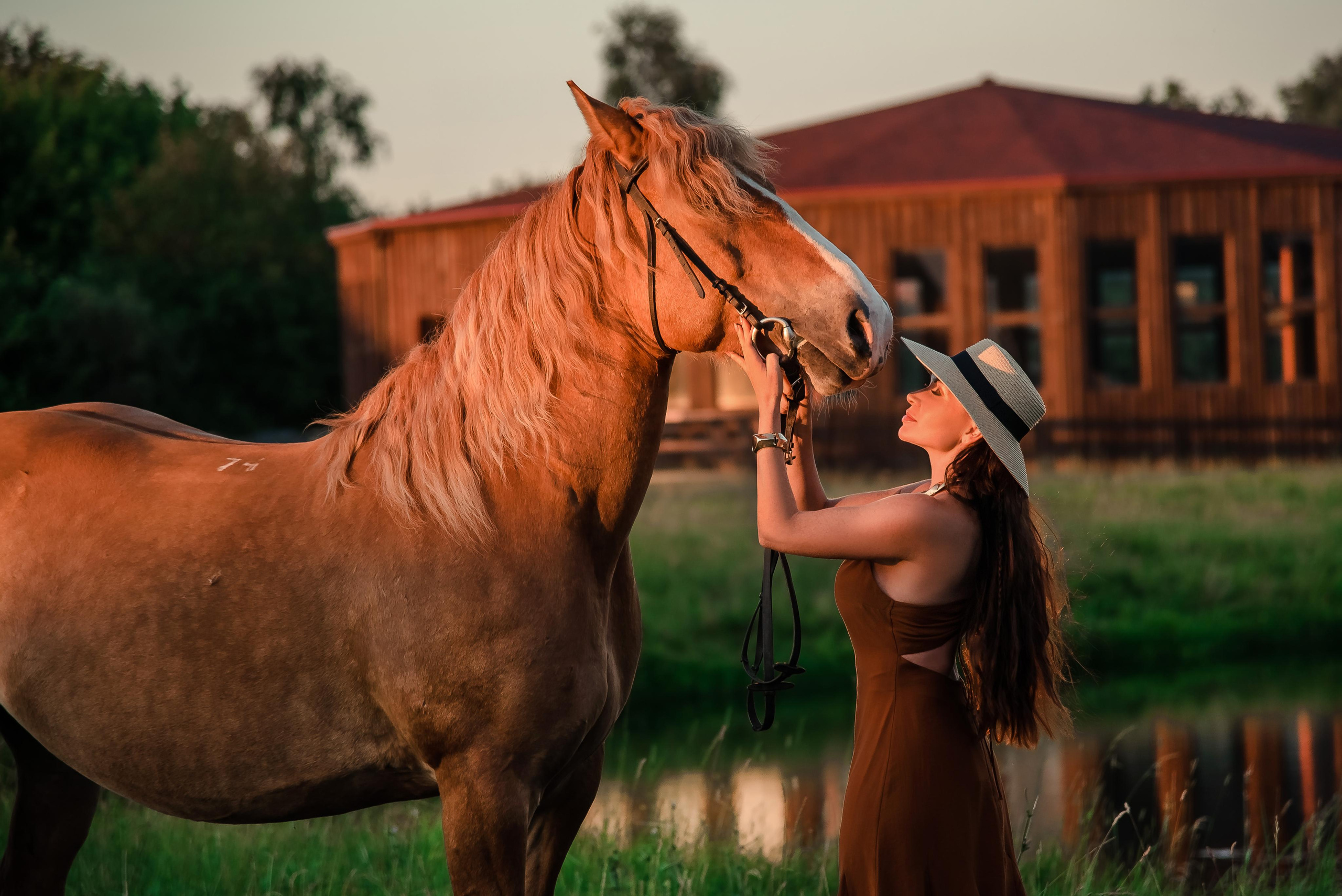 Фотосессии с лошадьми. Контент фотограф в Москве Лихачева Ксения