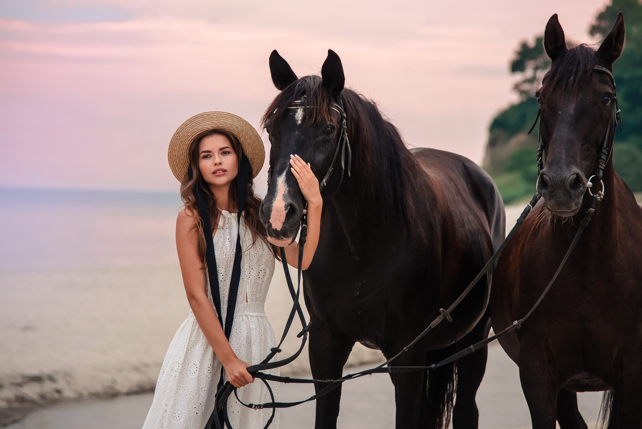 Фотосессии с лошадьми. Контент фотограф в Москве Лихачева Ксения