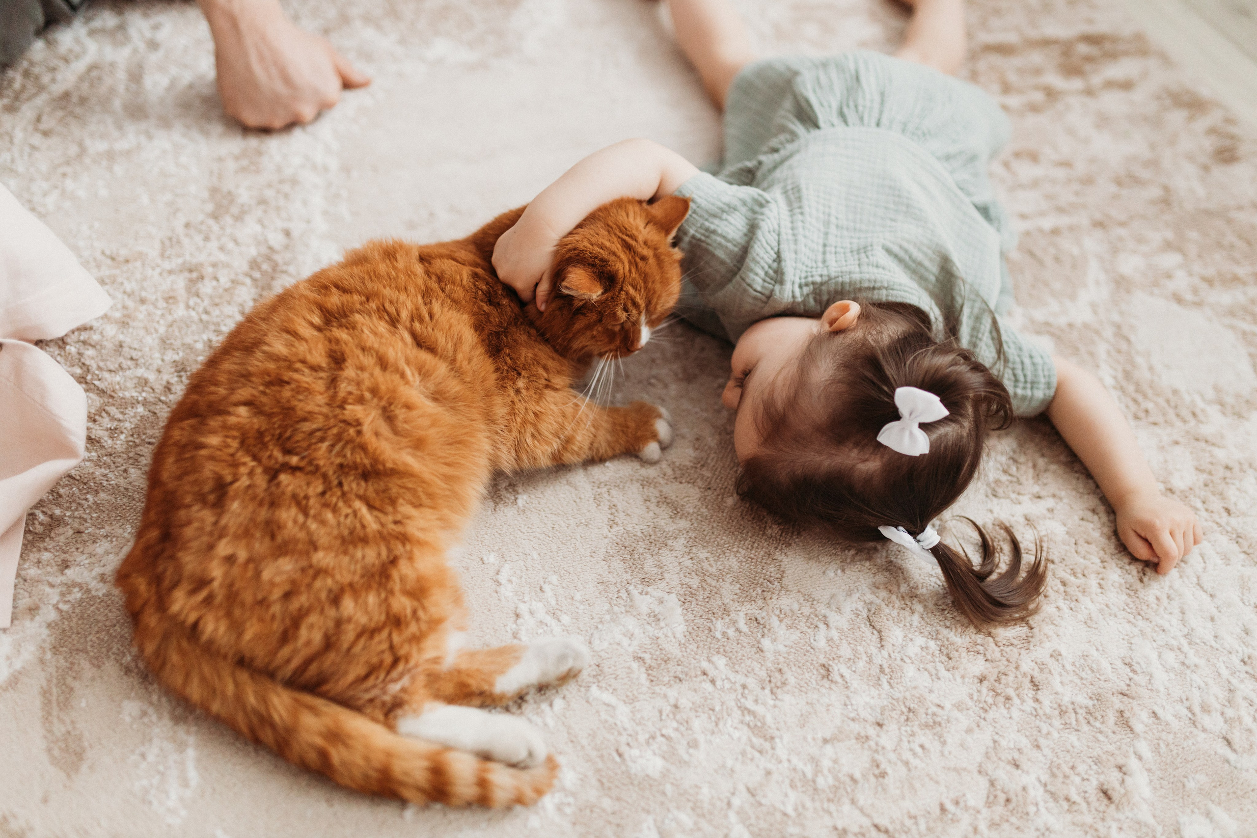 Домашняя фотосессия День Рождения Василисы. Фотограф Тверь. Свадебные, семейные, индивидуальные фотосессии