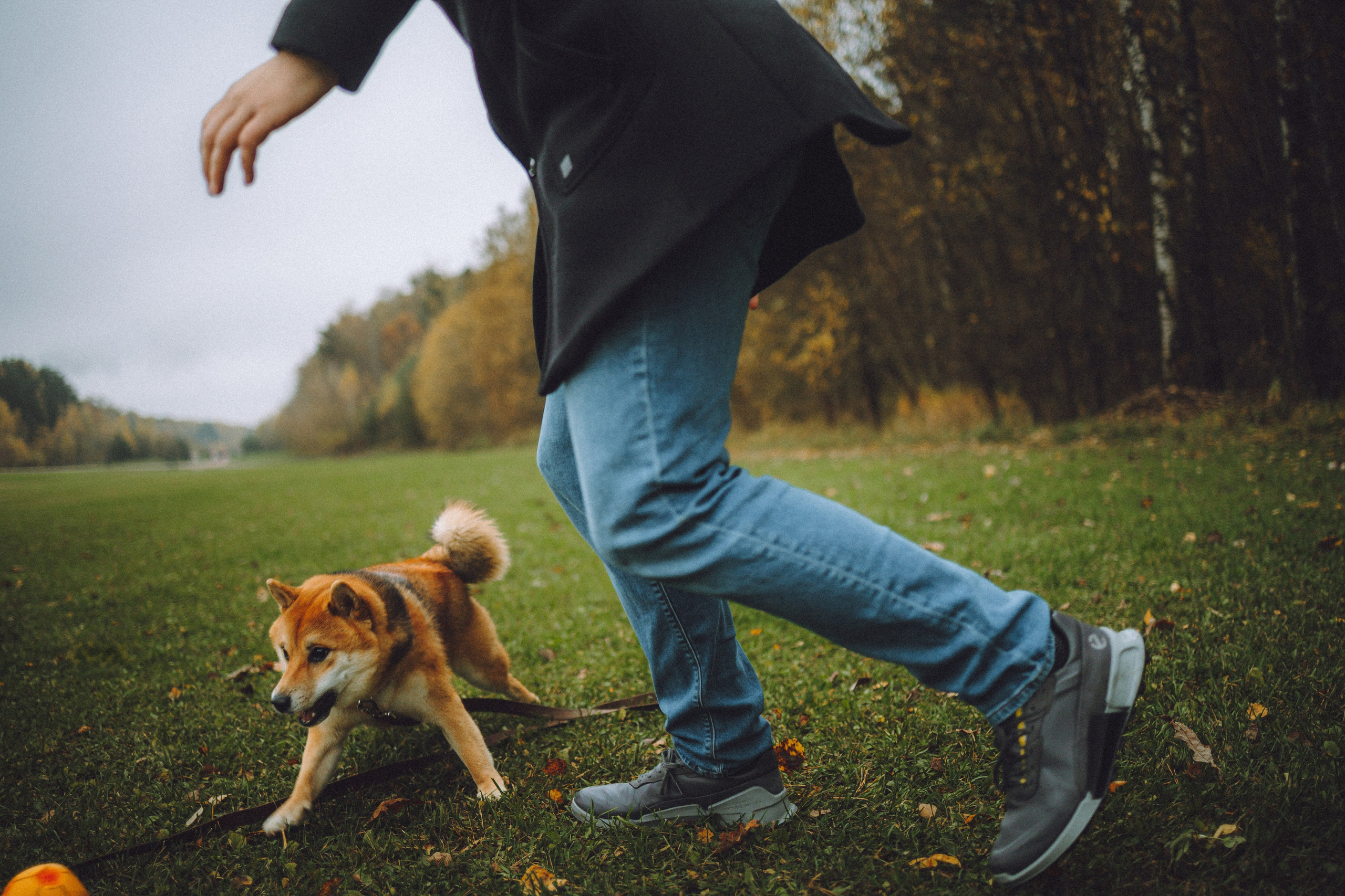 Настя, Юра и Скай