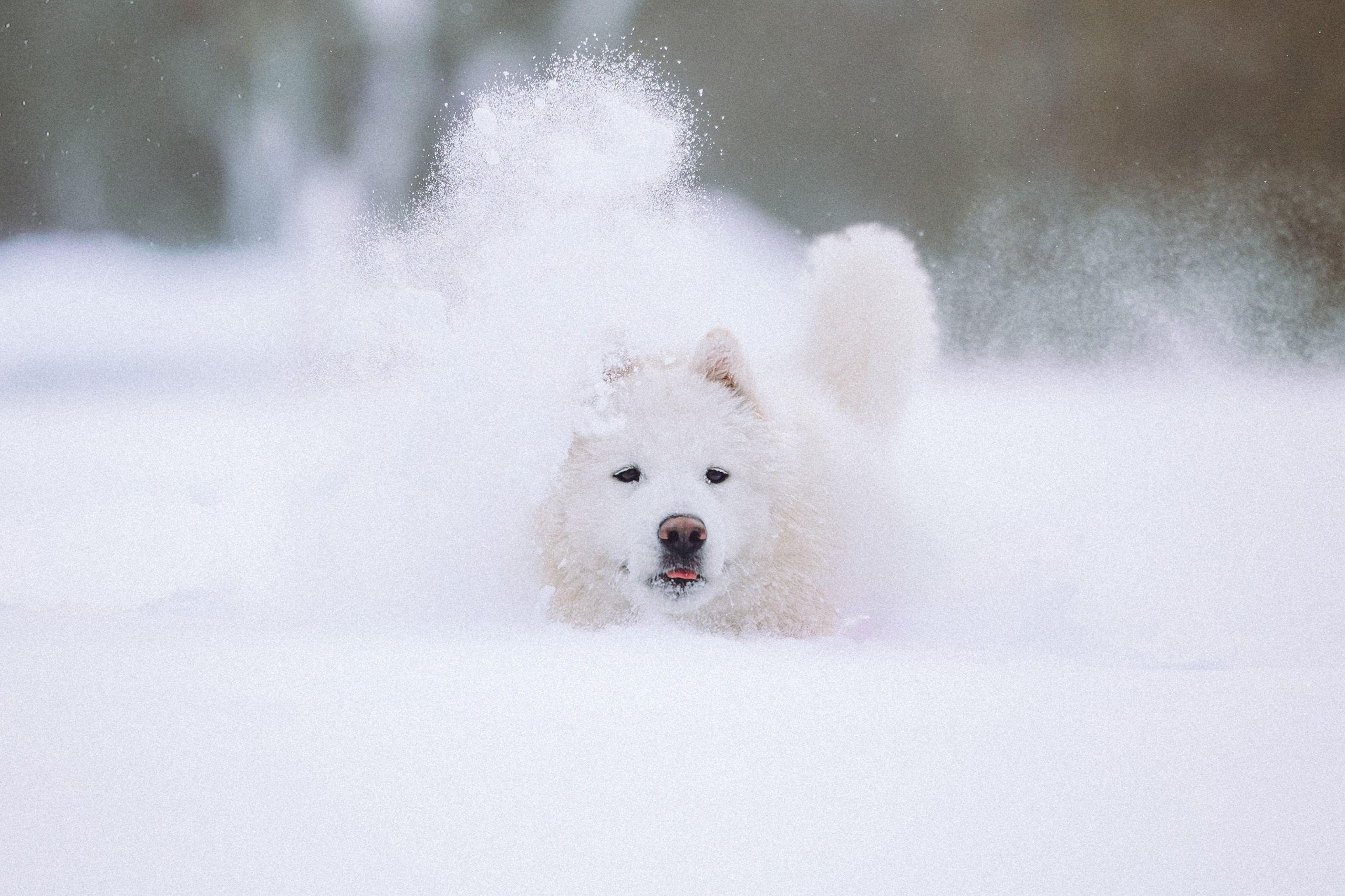 Мария и Мася