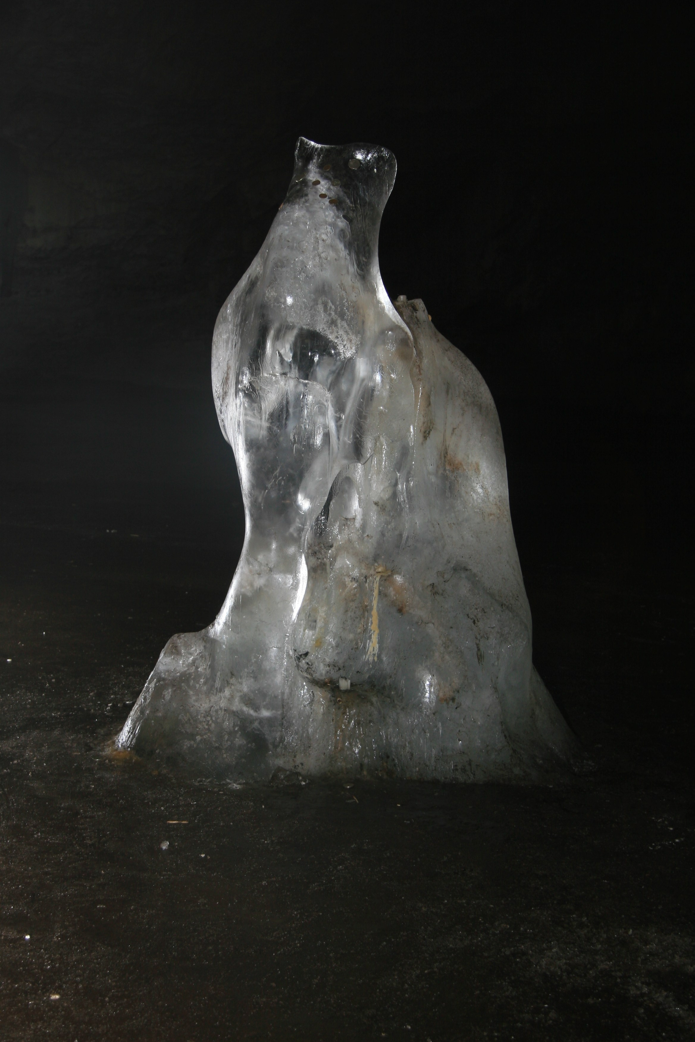 Фото Природы Забайкалья. Студия Максима Белослюдцева