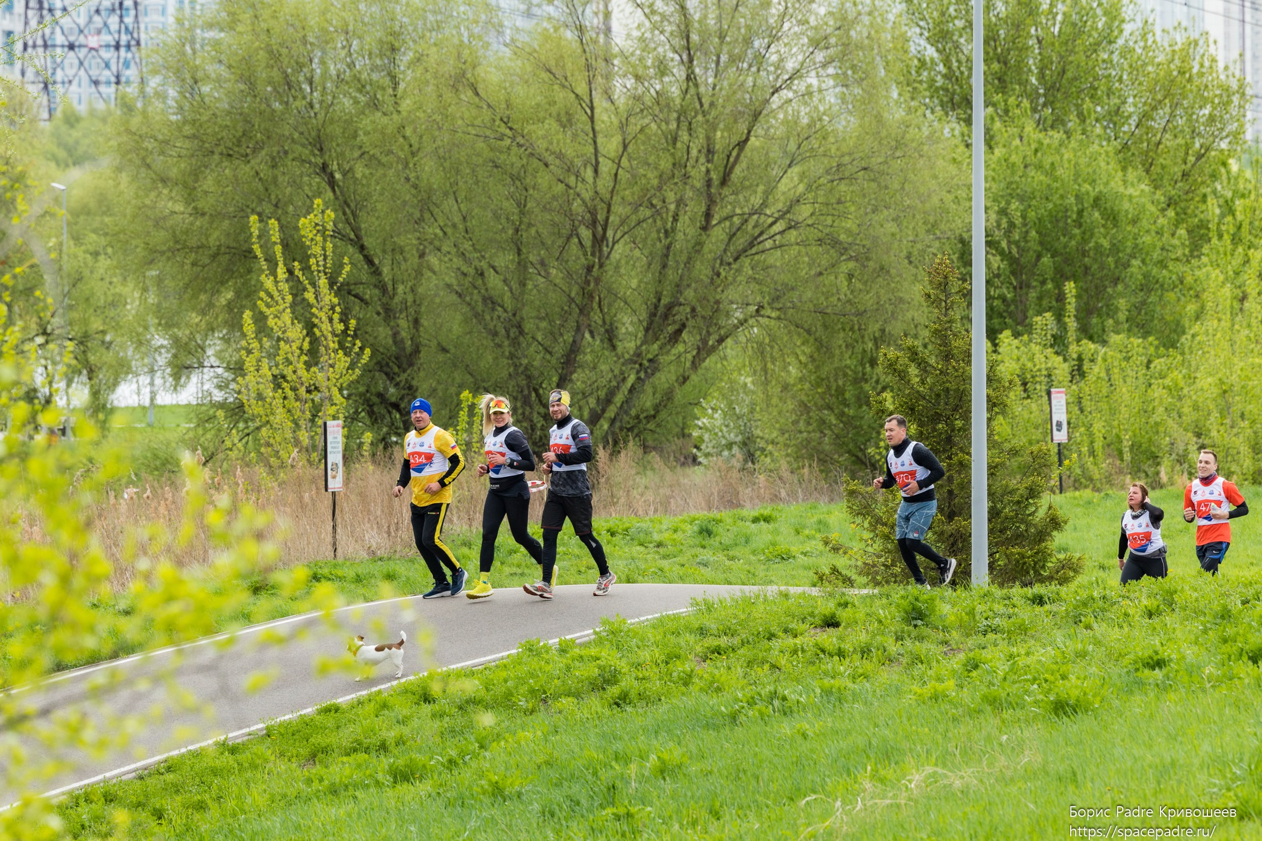 Гонка ГТО 260 425. Репортажный фотограф Борис Padre Кривошеев