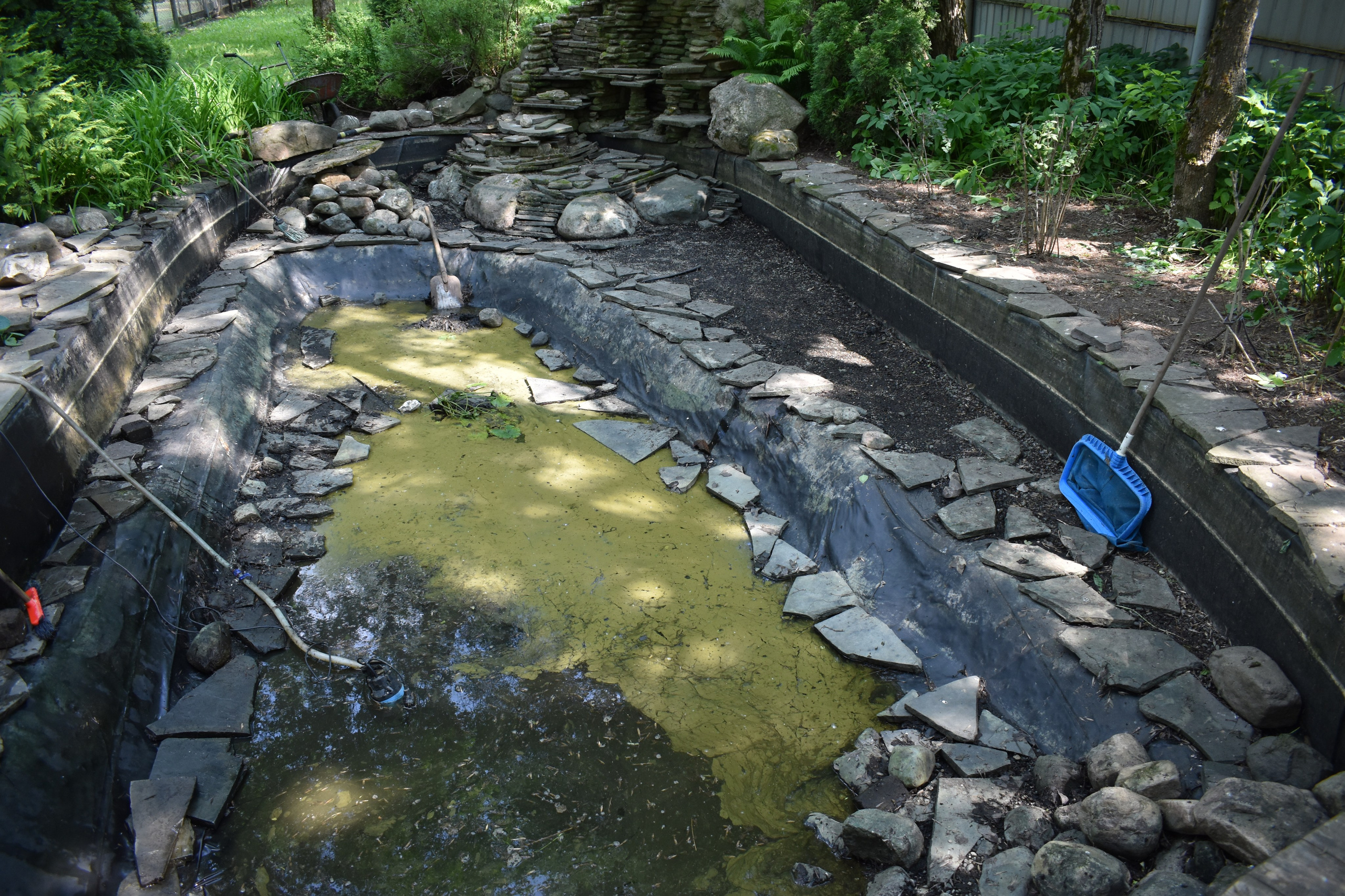 Надежда Пророкова «Добрый садовник». Private image