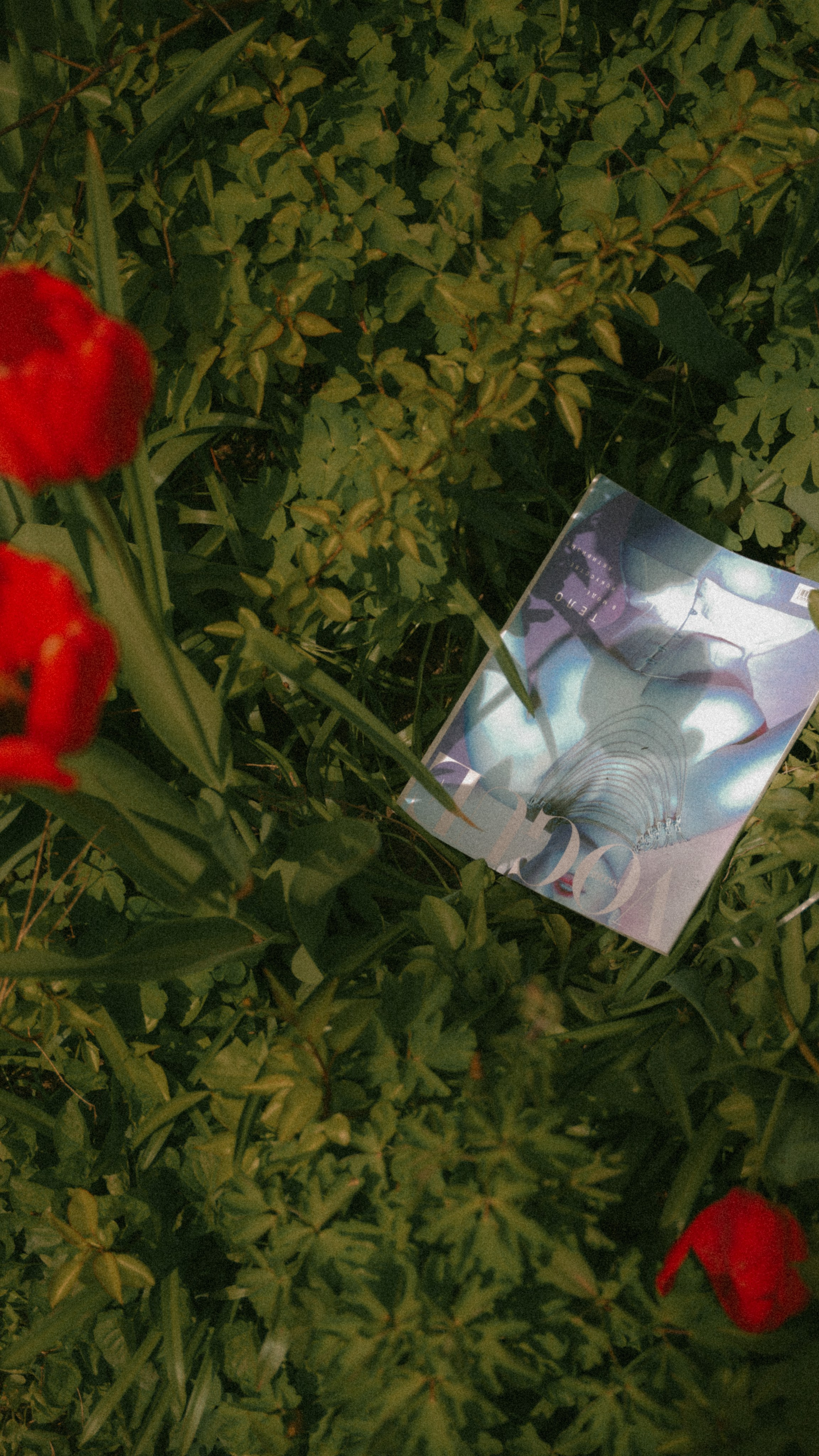 Надя. Валерия Никишина