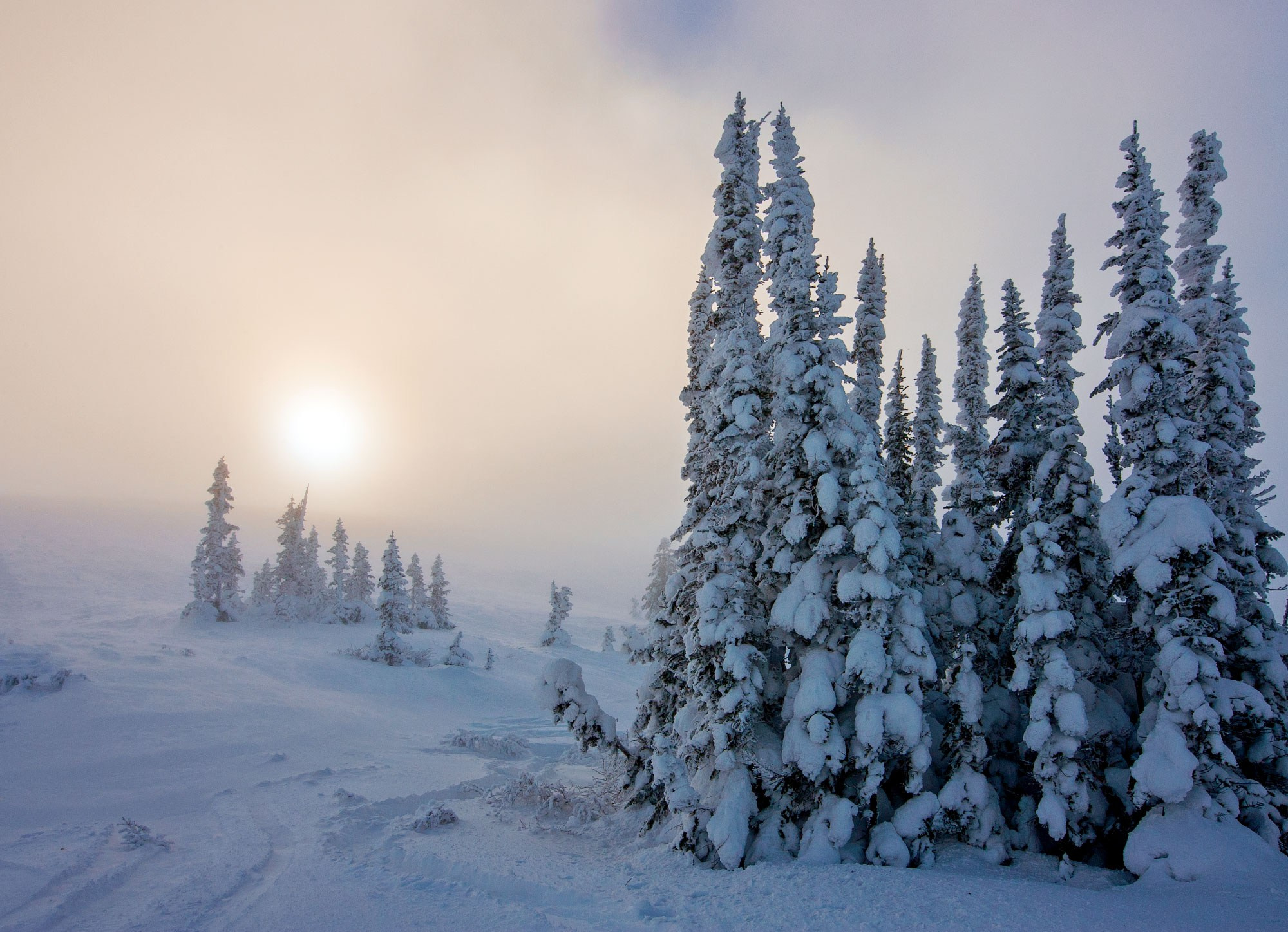 Свадебный фотограф в Геленджике