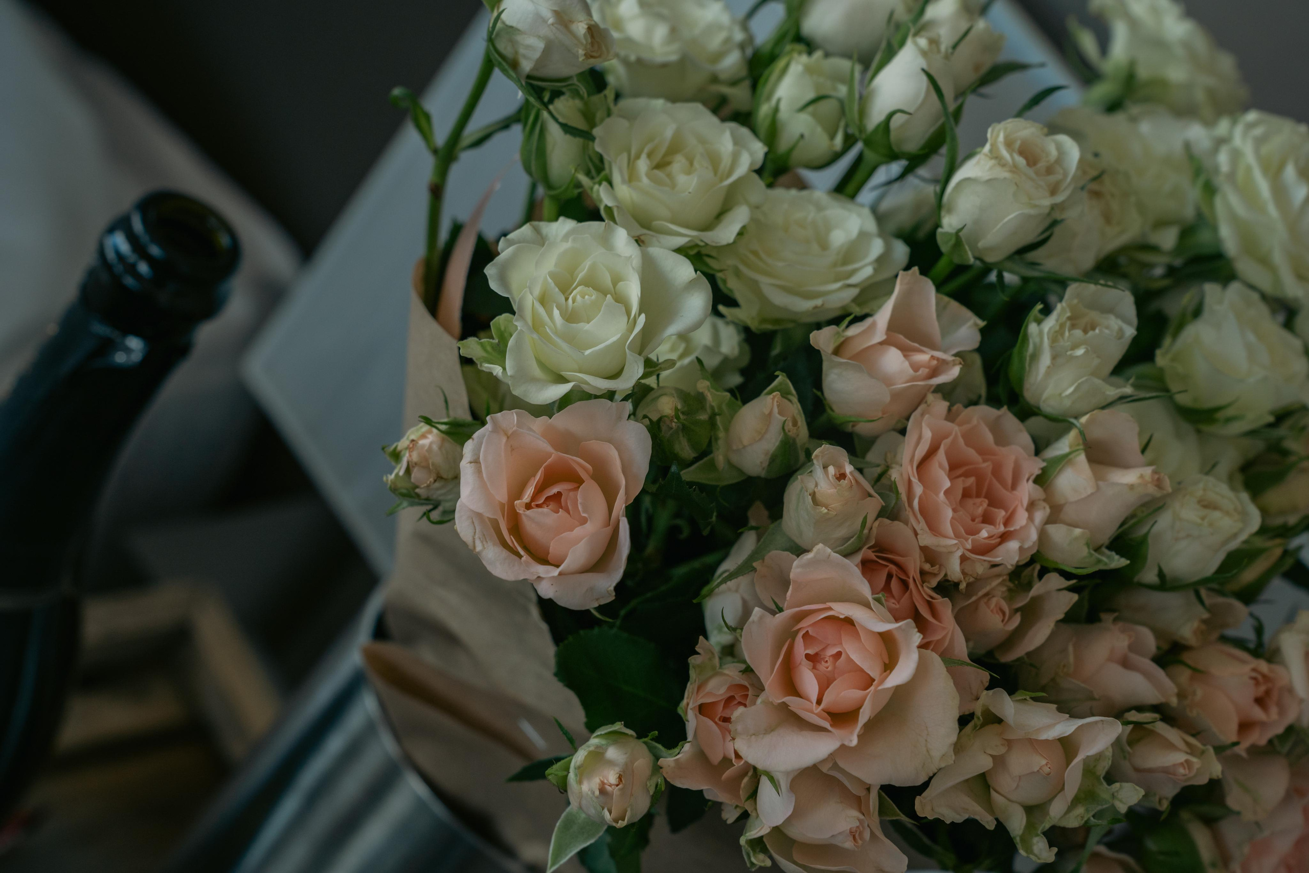 Услуги. Фотограф Москва. Базанова Анастасия