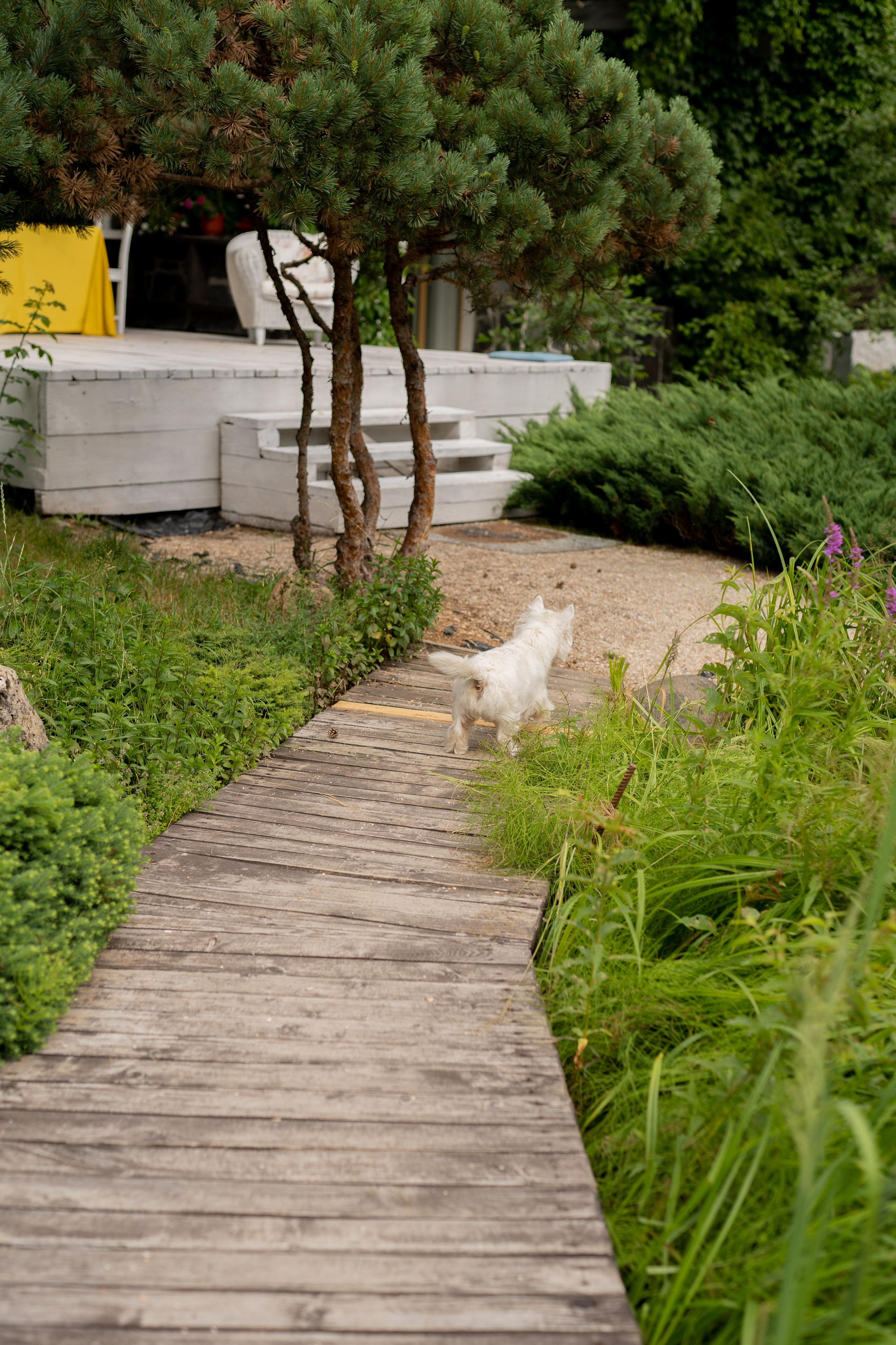 На вилле. Фотограф Москва. Базанова Анастасия
