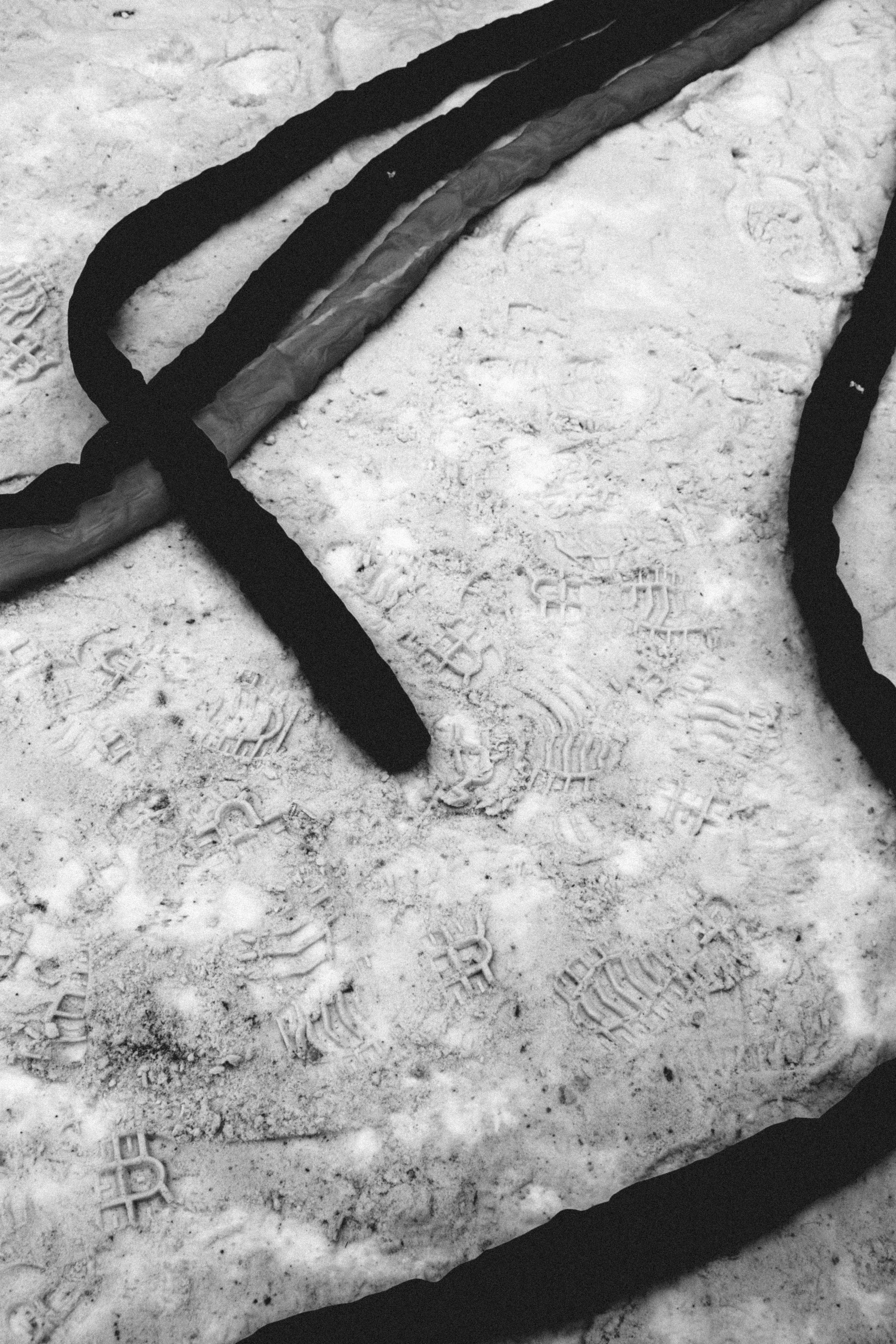 Мероприятия. Соня Мнема