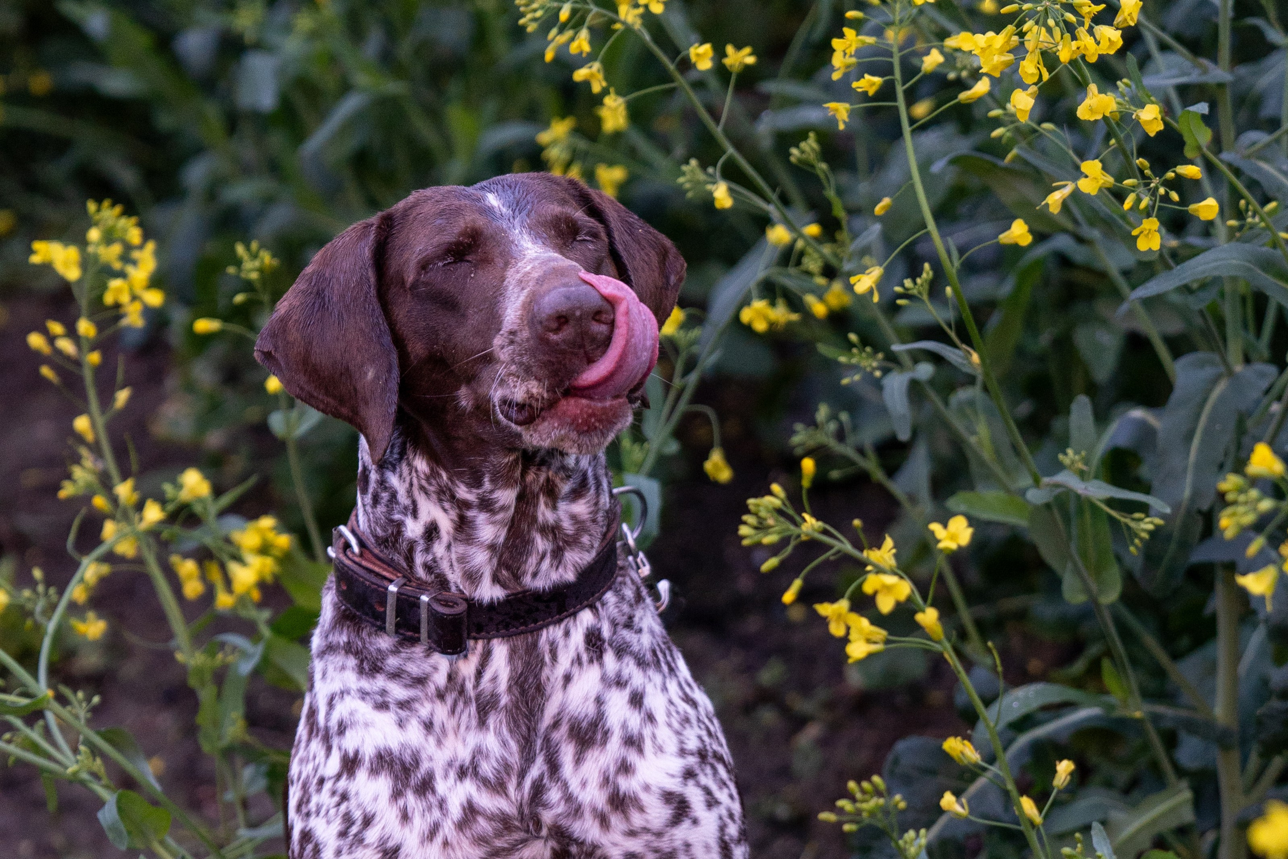 Семейная фотоистория на природе. Главная