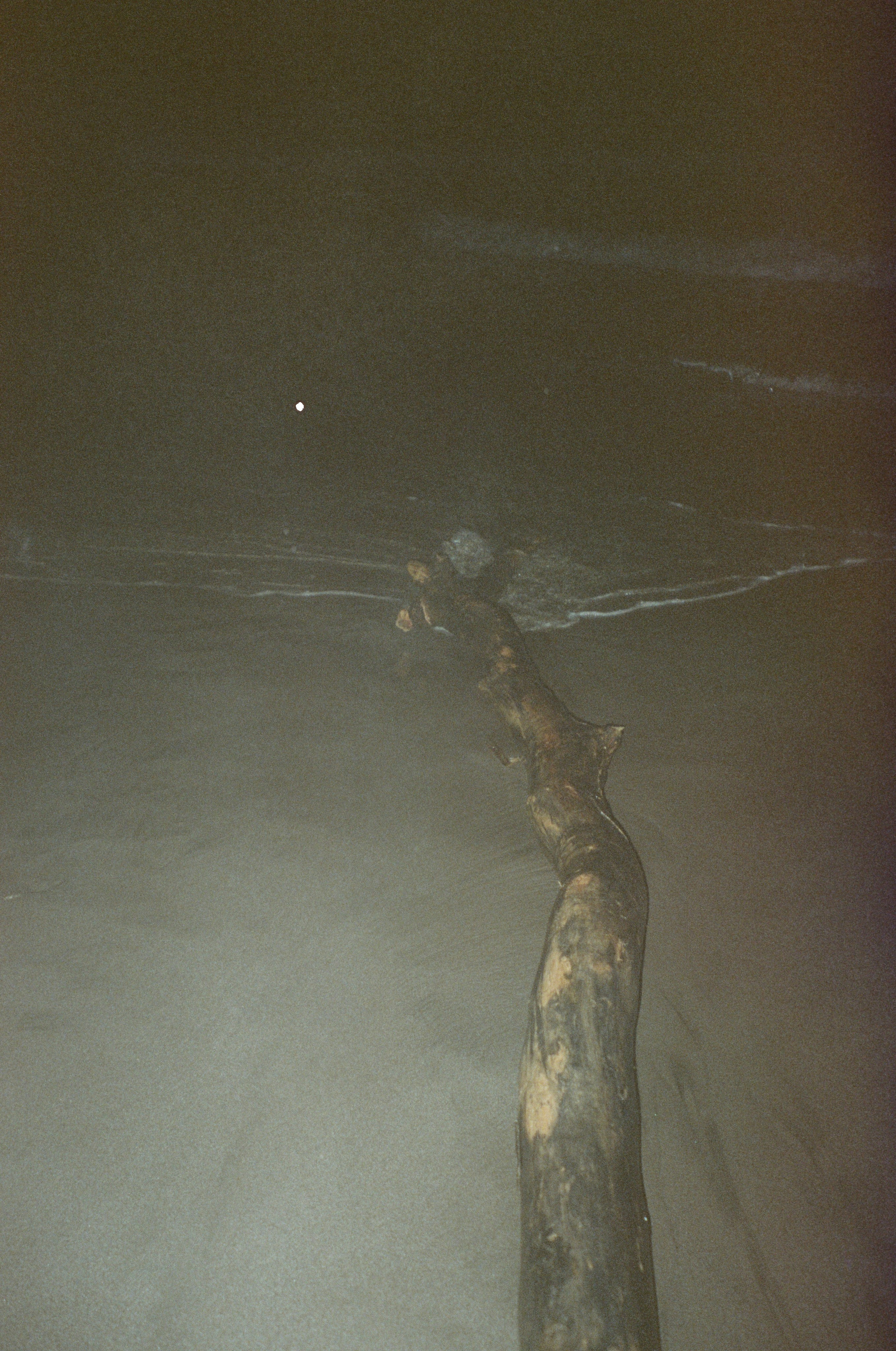 NYEPI DAY. Carolinetru