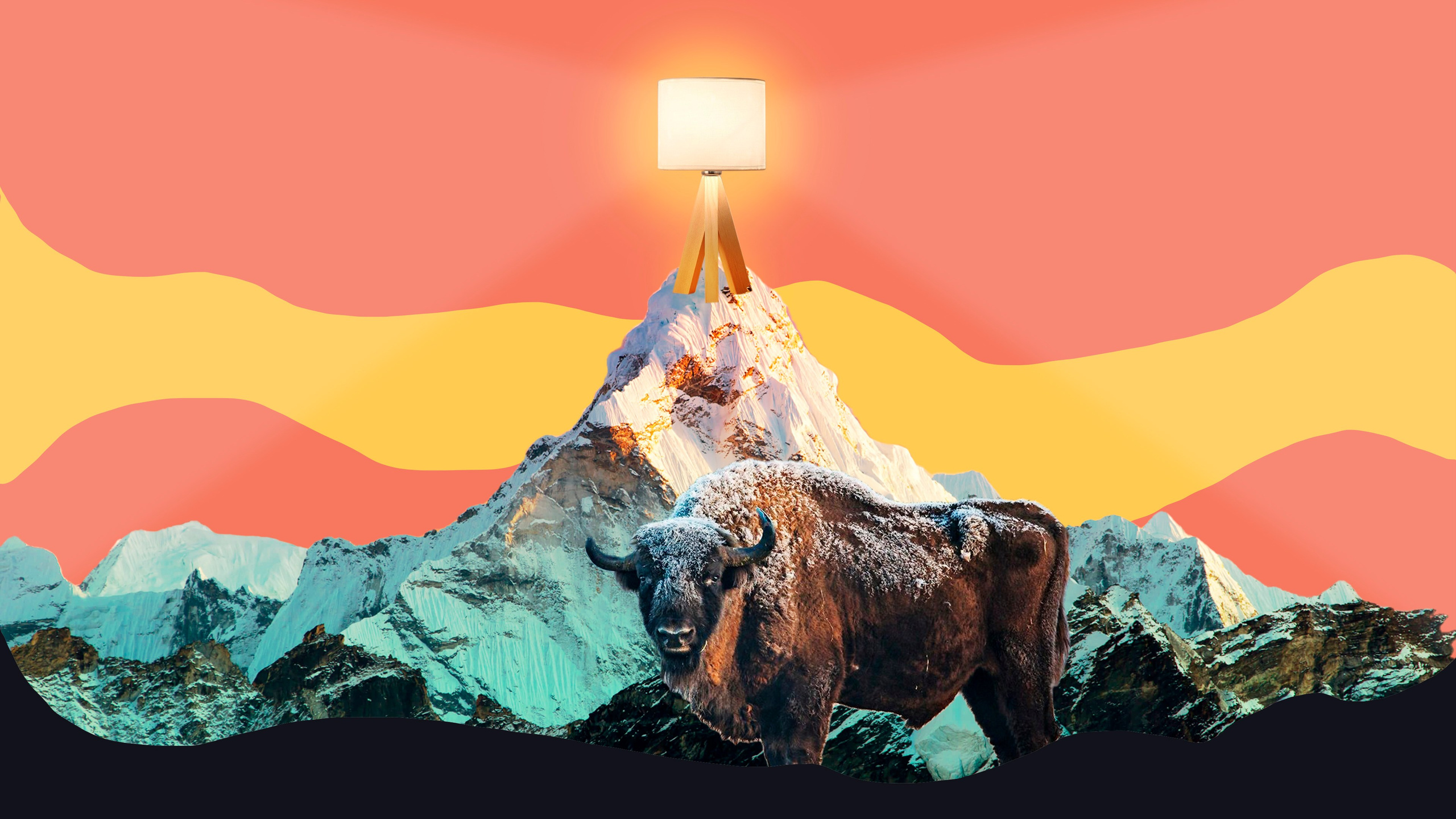 Коллажи из фотографий. Колентеева Наталья/фотограф