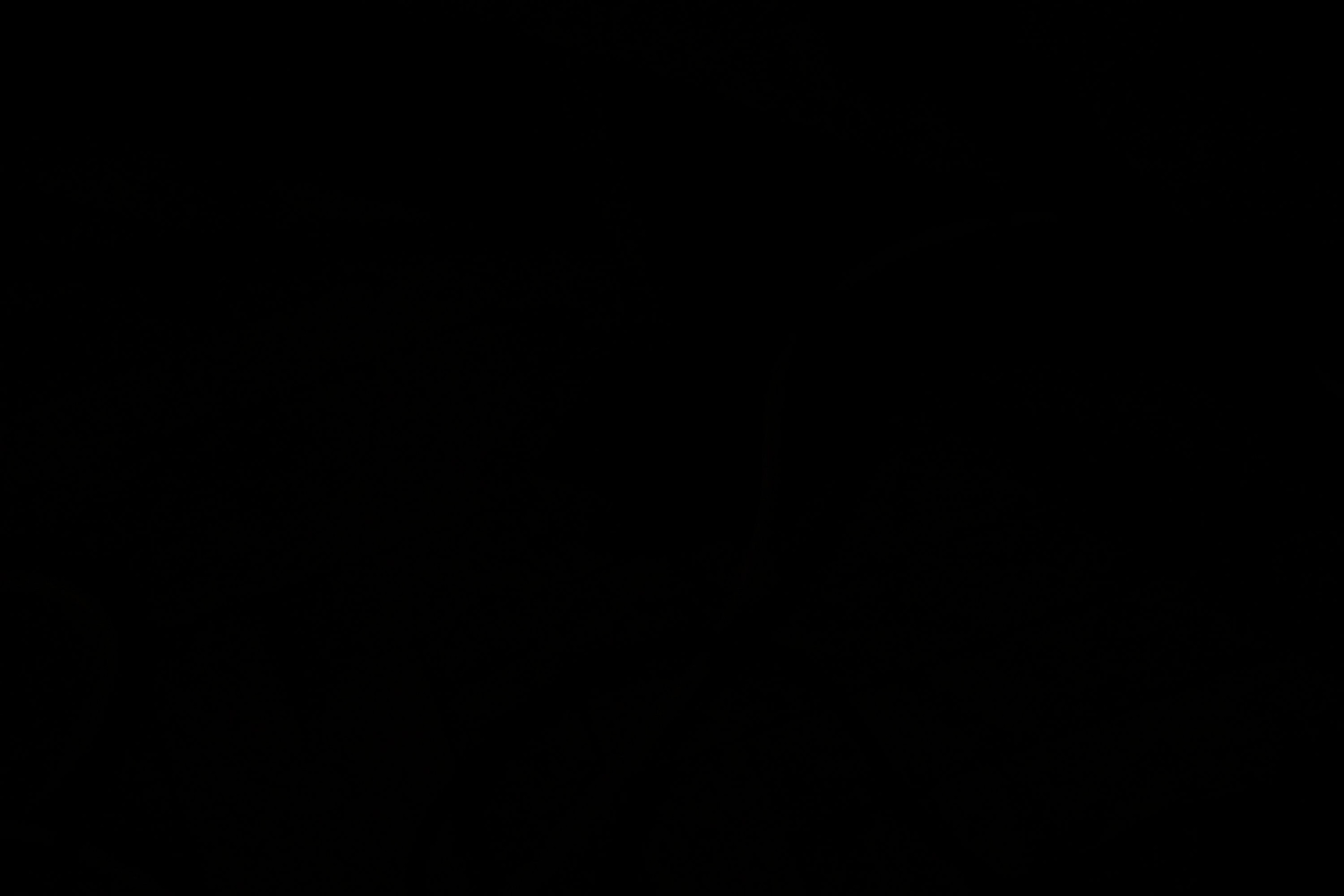 30 марта, г. Самара. Золотое яблочко