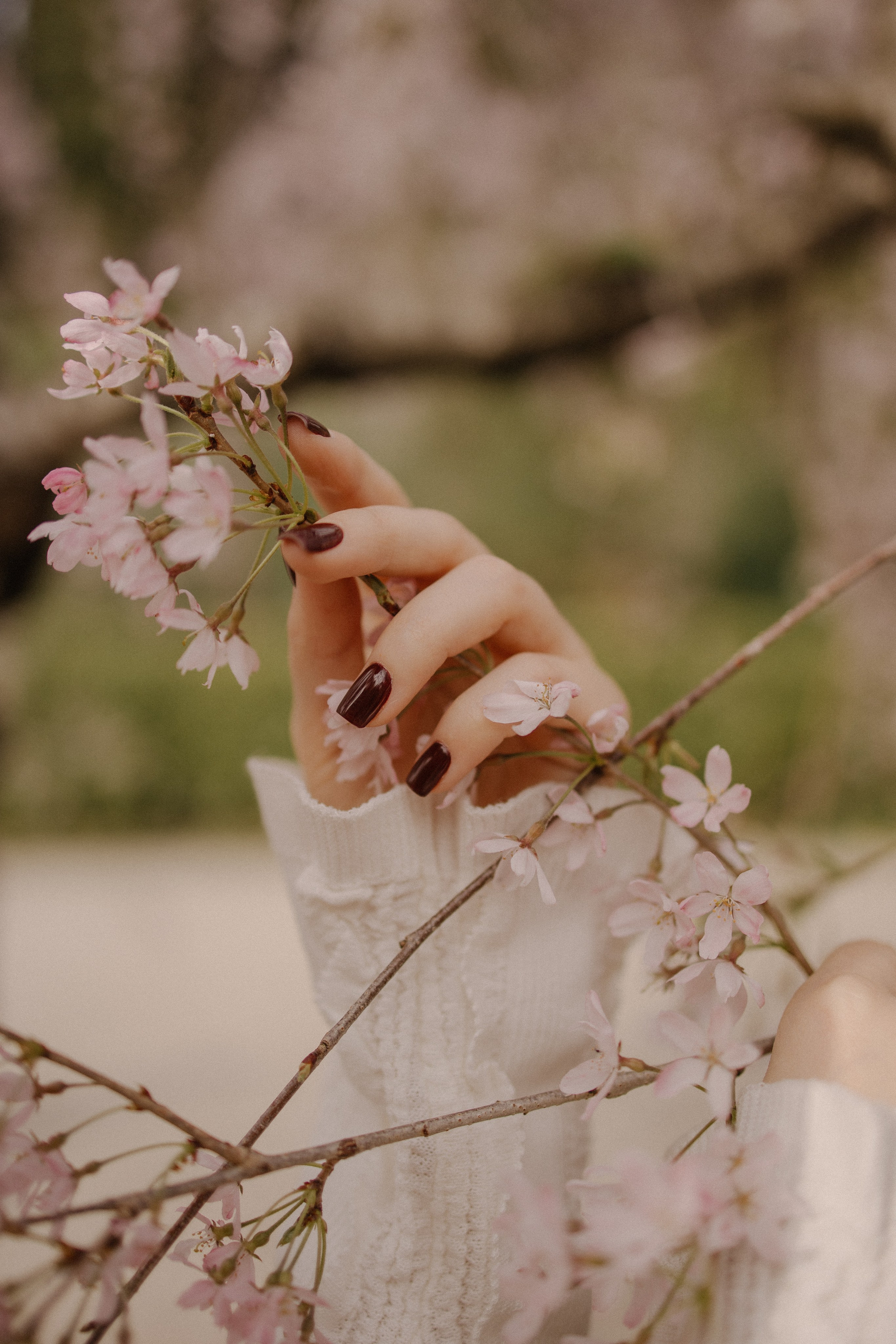 Света в сакуре. Фотограф Сочи Адлер Сириус Красная поляна Олеся Минив