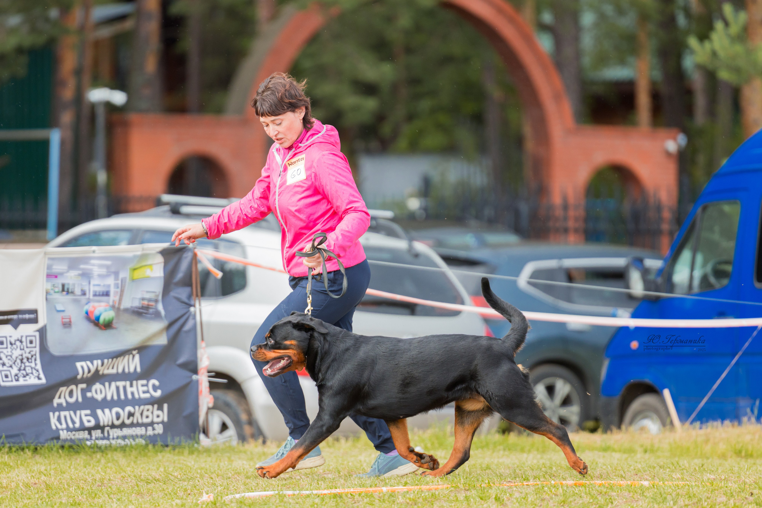 Тверь ротвейлеры 5-6.07.2025. Фотограф-анималист Юлия Германика