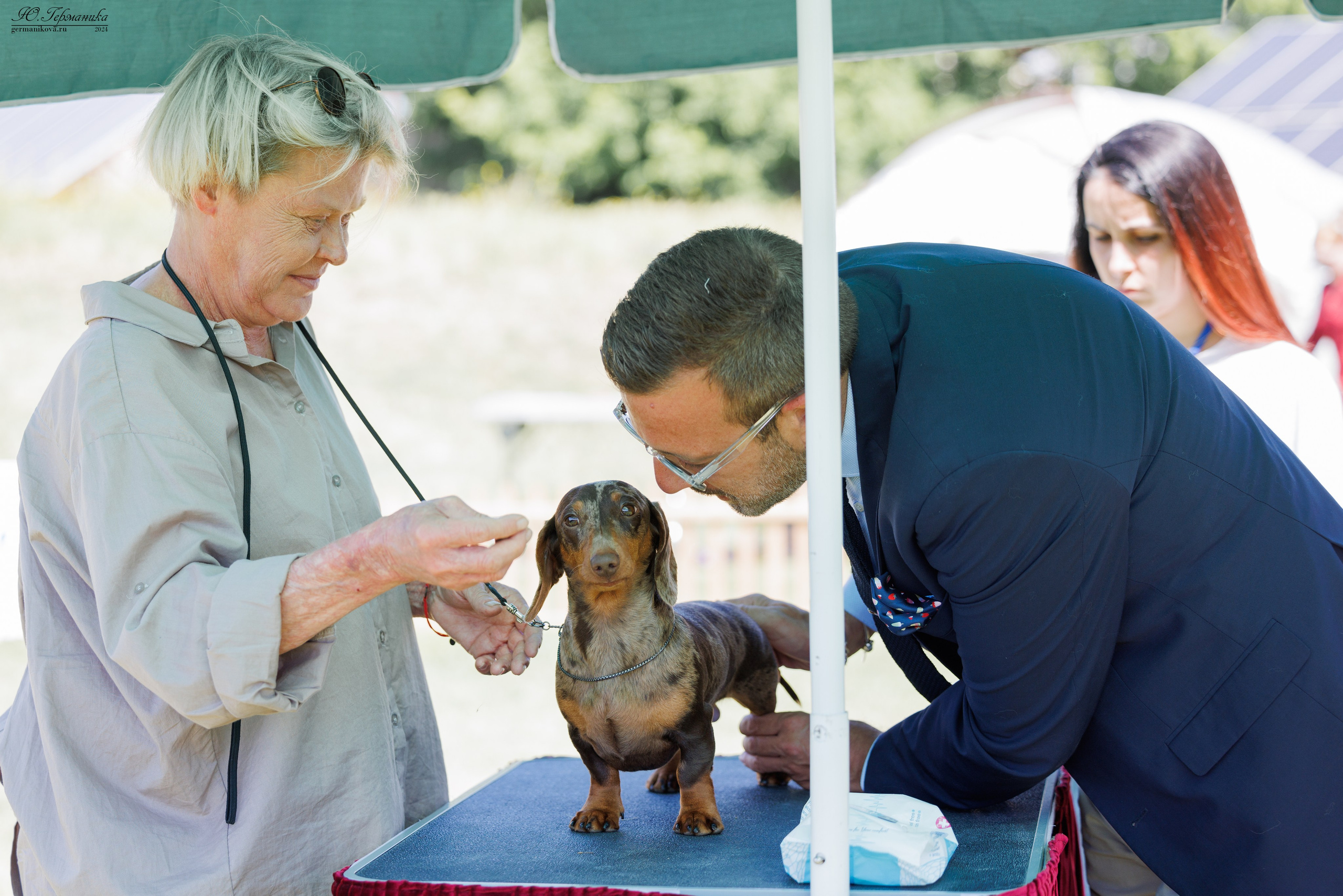 Ереван 3-5.06.2024. Фотограф-анималист Юлия Германика