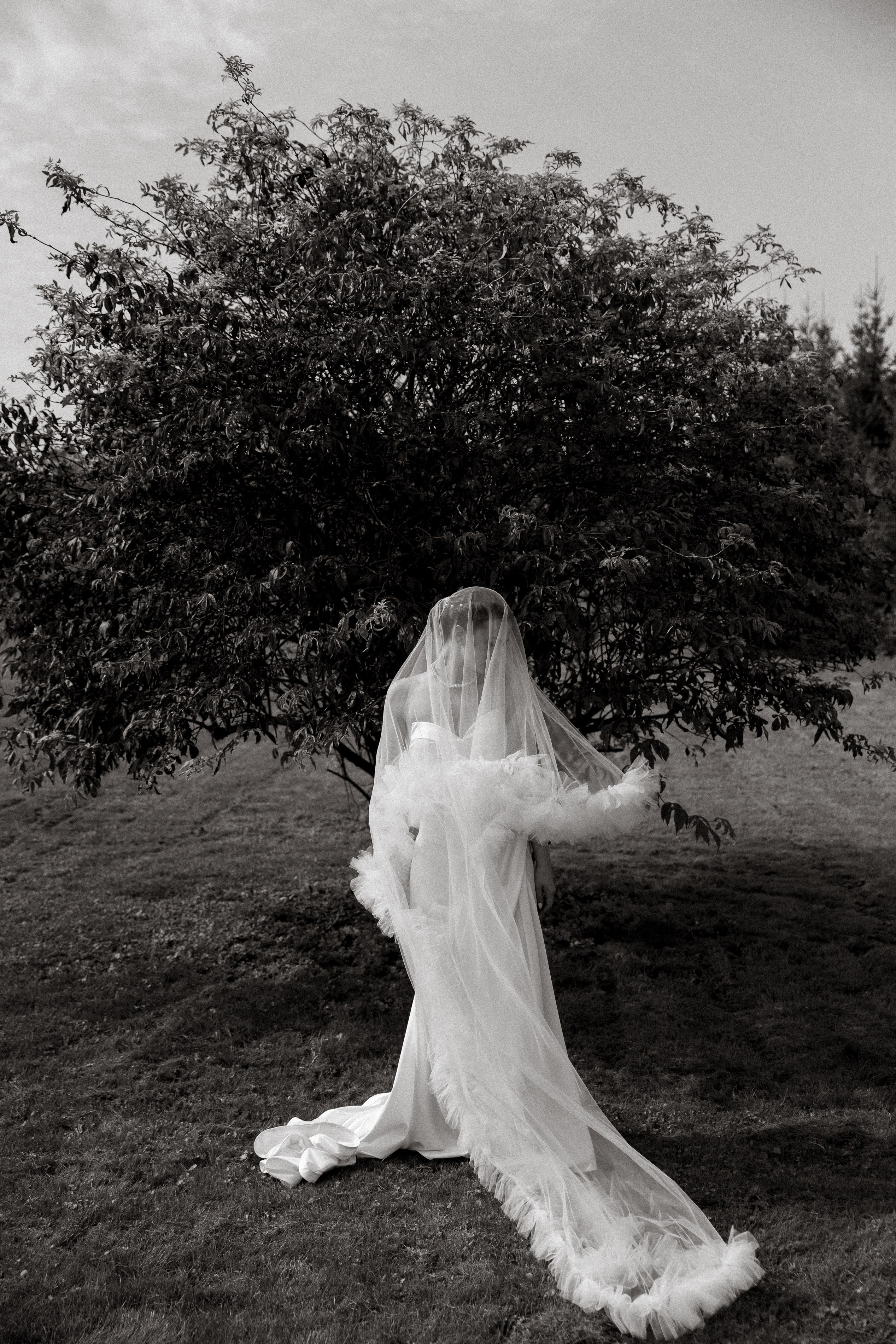 Classic. Свадебный фотограф Ярославль, Рыбинск