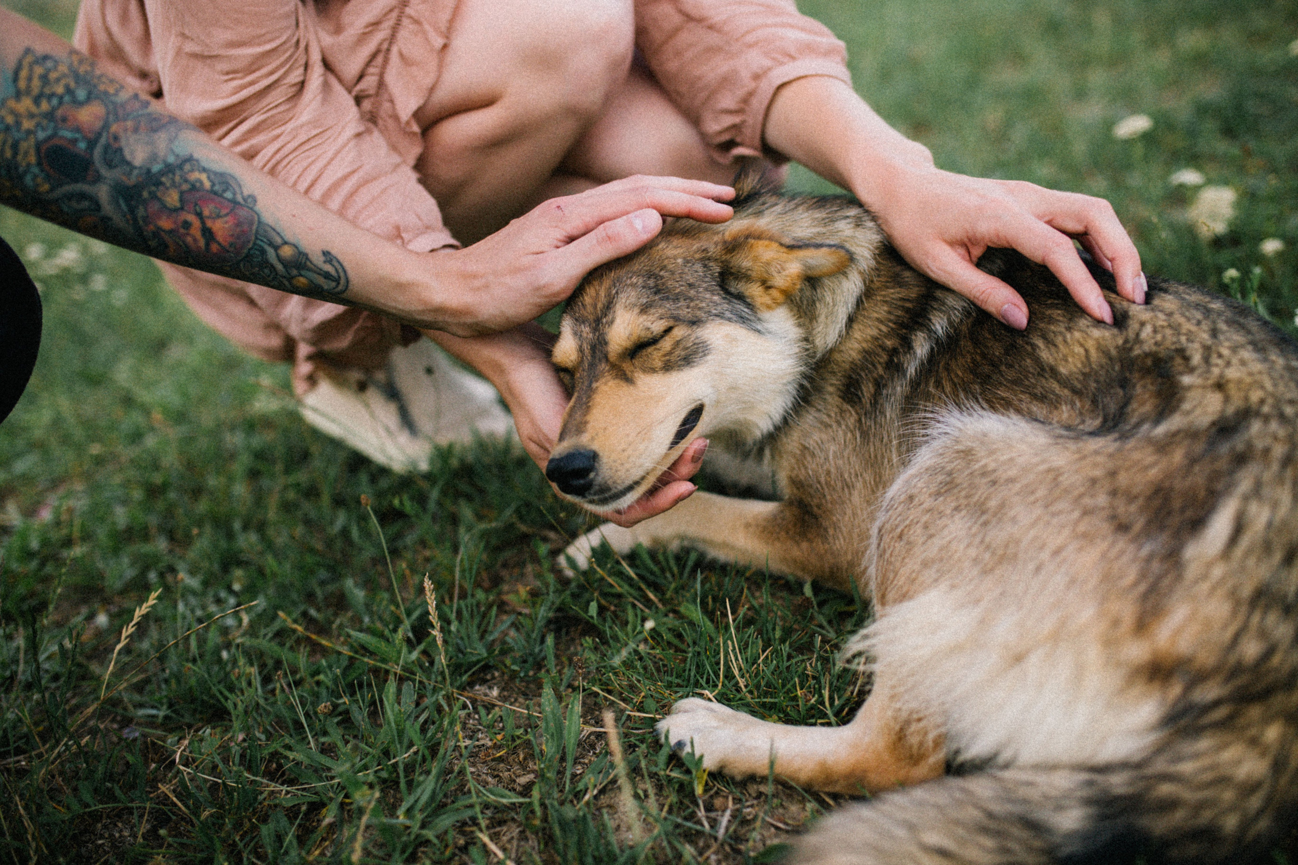 Коснуться гор. Свадебный и семейный фотограф в Варшаве