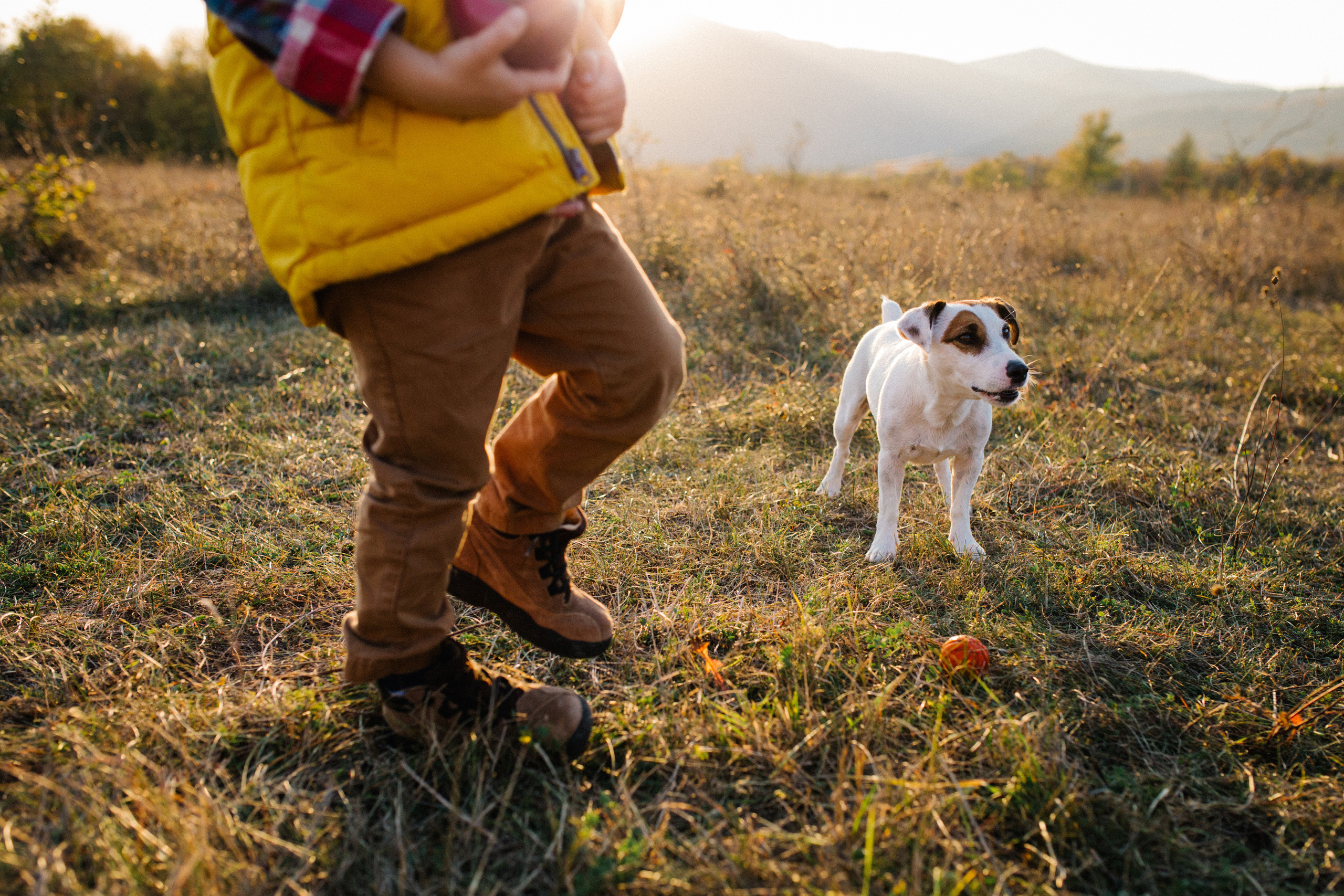 Этот мир принадлежит нам. Свадебный и семейный фотограф в Варшаве