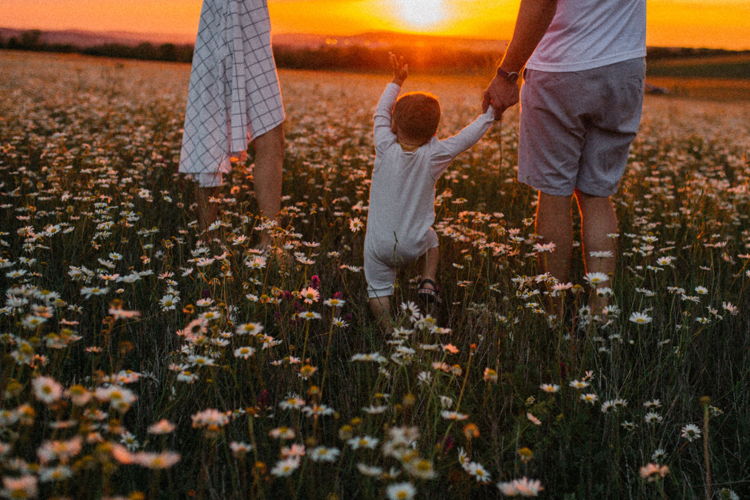 Раз ромашка, два ромашка. Свадебный и семейный фотограф в Варшаве