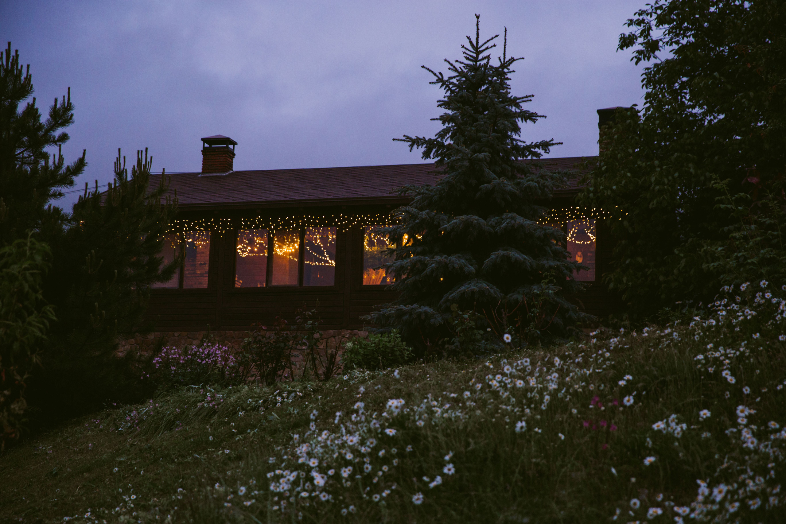 Коля + Вика. Свадебный и семейный фотограф в Варшаве