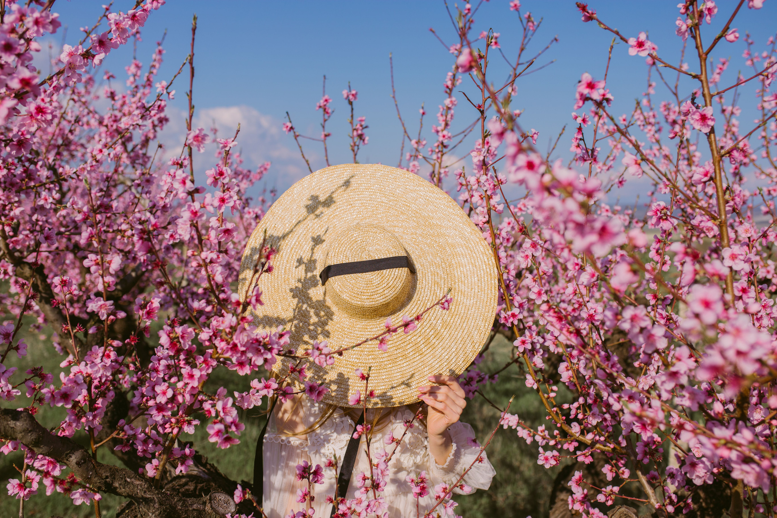 Розовая феерия. Свадебный и семейный фотограф в Варшаве