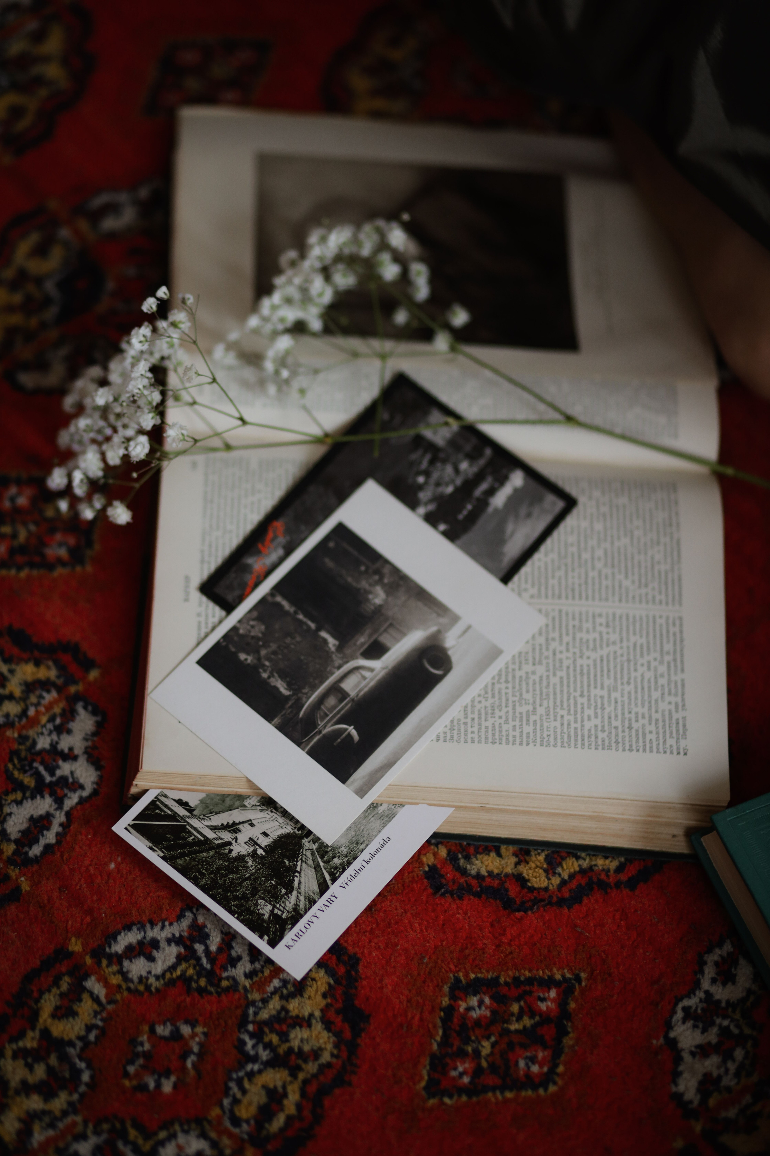 На пороге весны. Свадебный и семейный фотограф в Варшаве