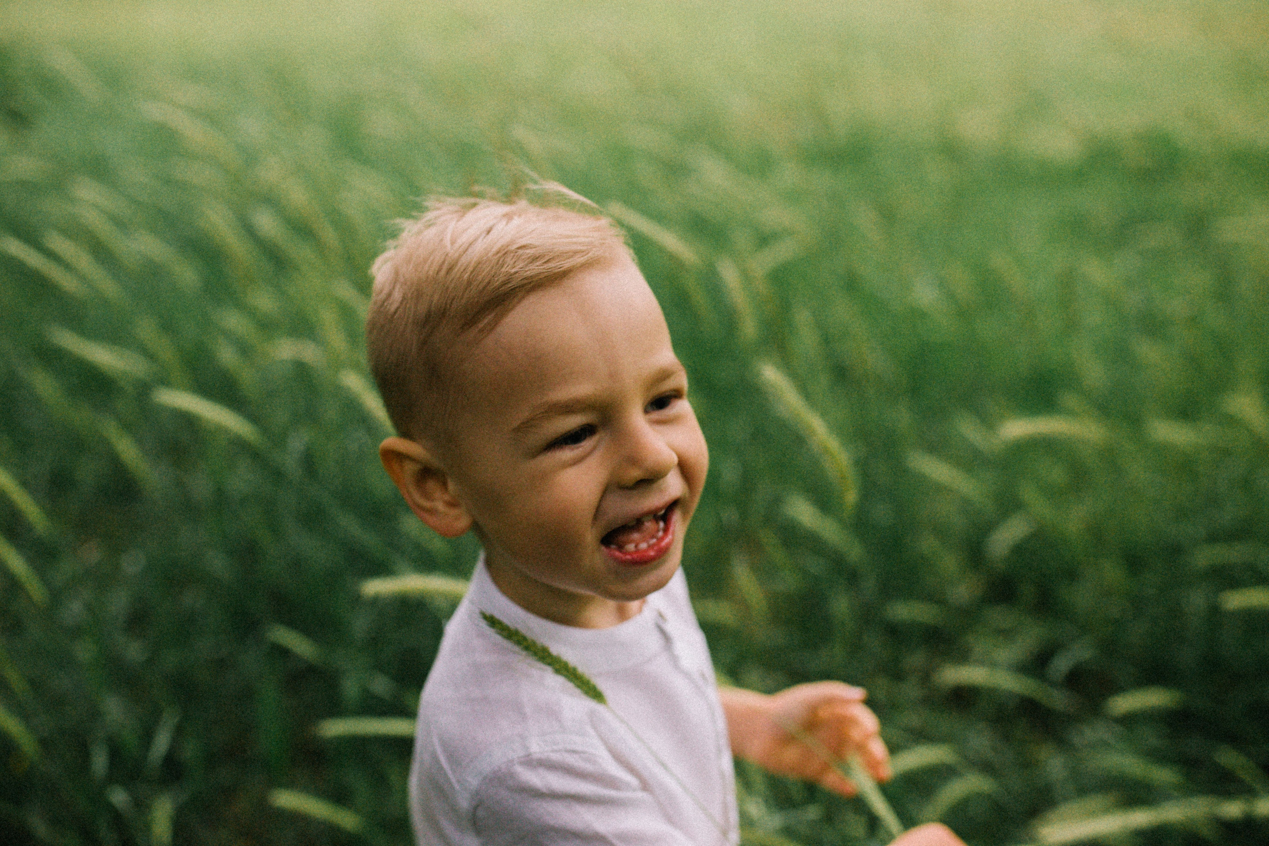 Когда деревья казались большими. Свадебный и семейный фотограф в Варшаве