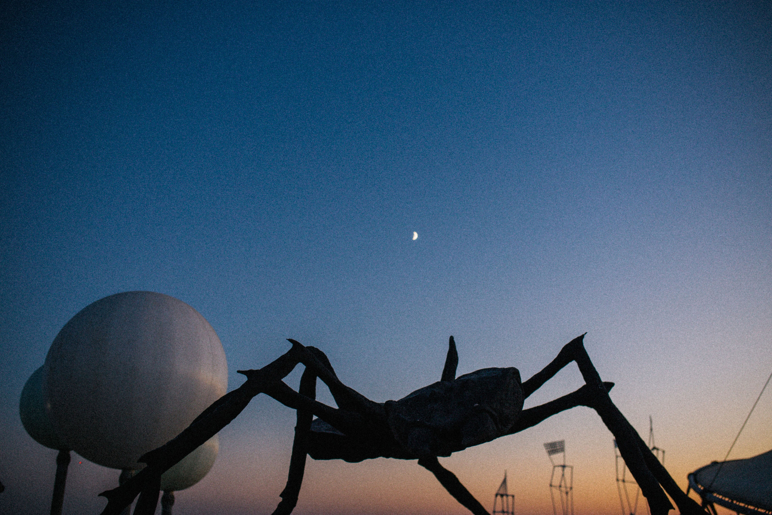 Твой город причудлив, как сон Дали. Свадебный и семейный фотограф в Варшаве