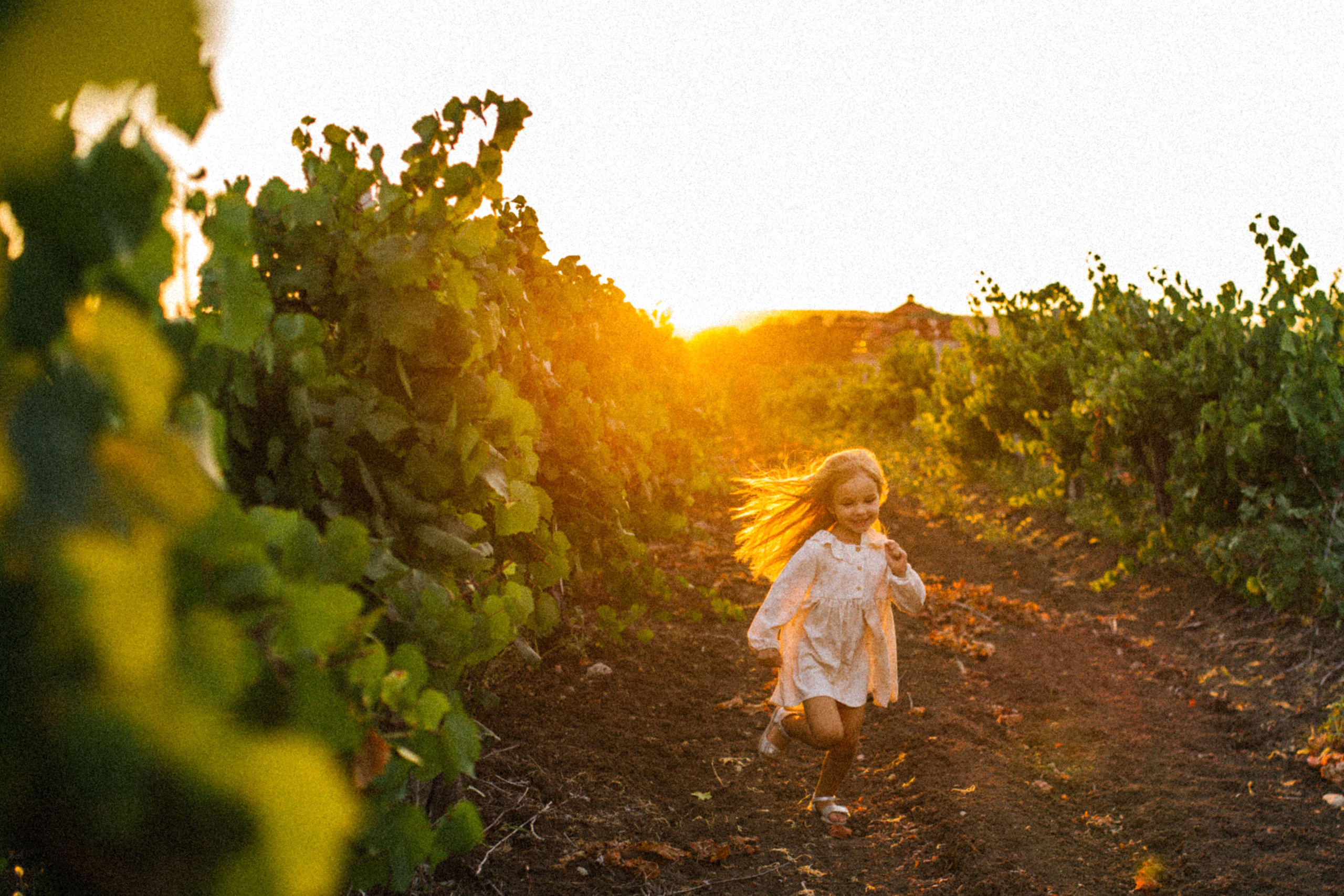 Какое счастье на вкус?. Свадебный и семейный фотограф в Варшаве