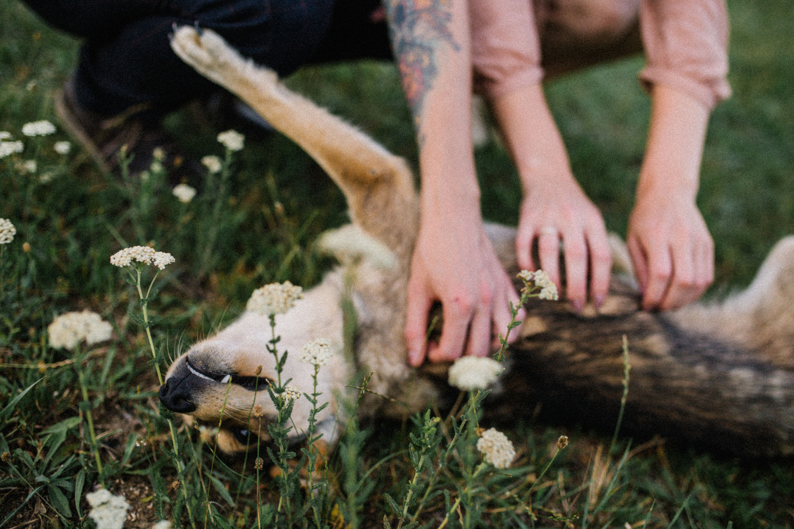 Коснуться гор. Свадебный и семейный фотограф в Варшаве