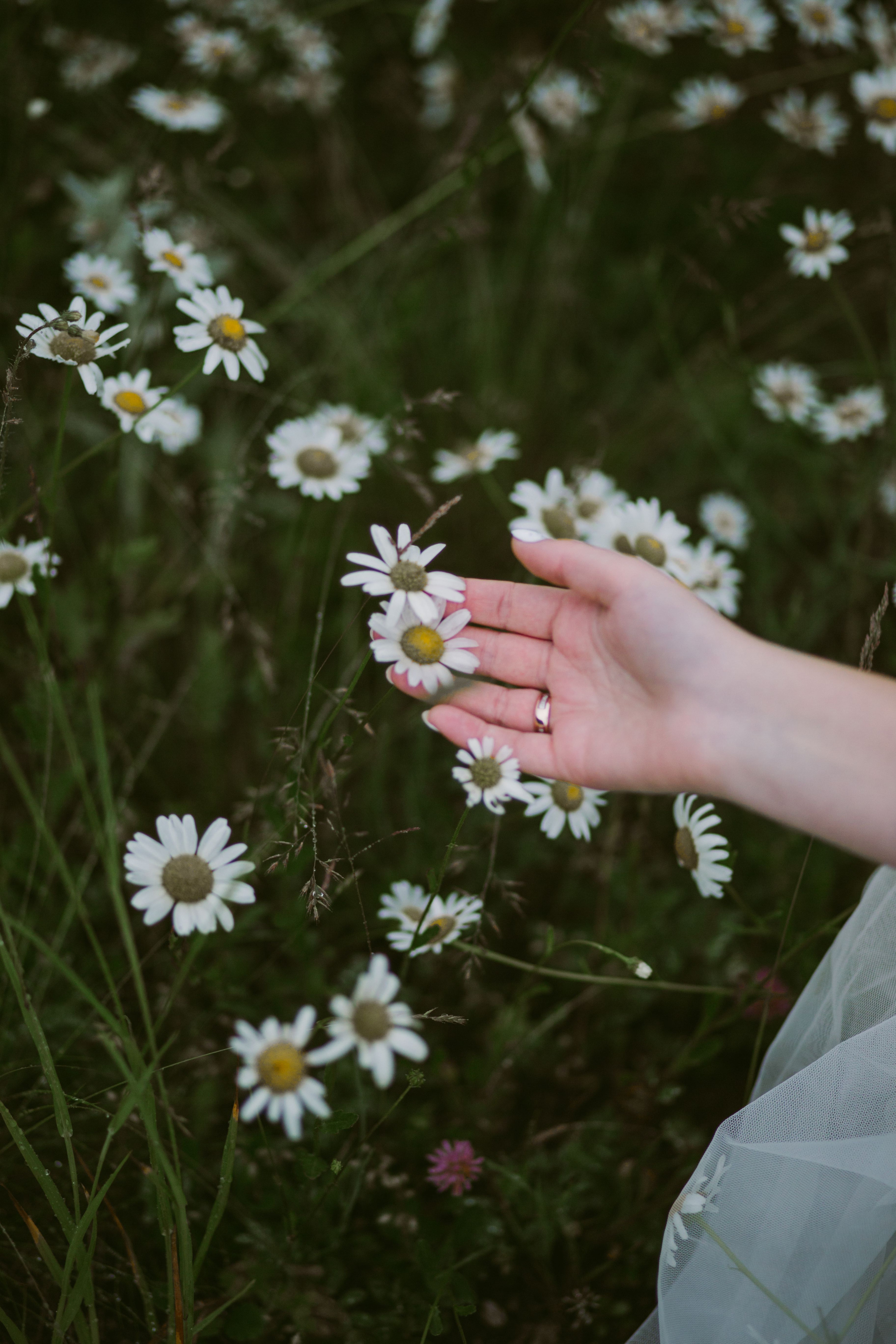 Коля + Вика. Свадебный и семейный фотограф в Варшаве