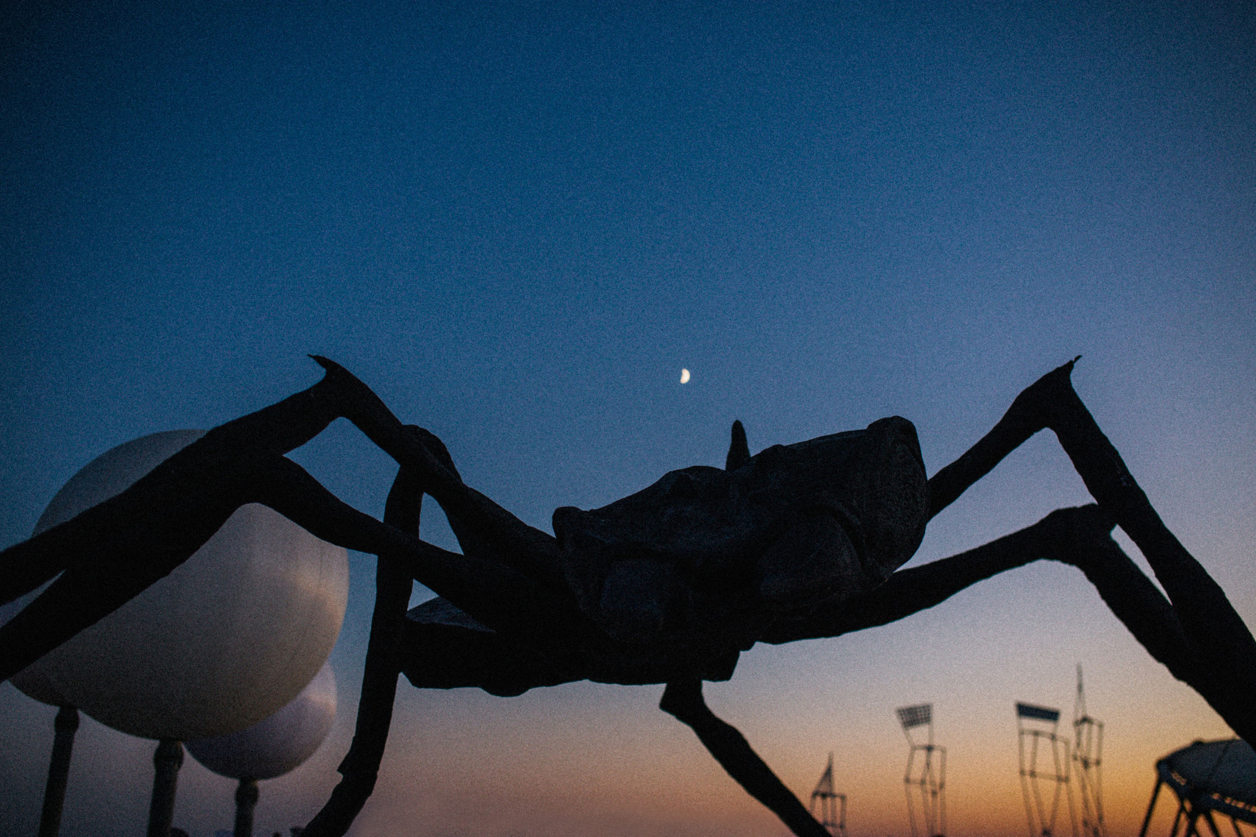 Твой город причудлив, как сон Дали. Свадебный и семейный фотограф в Варшаве