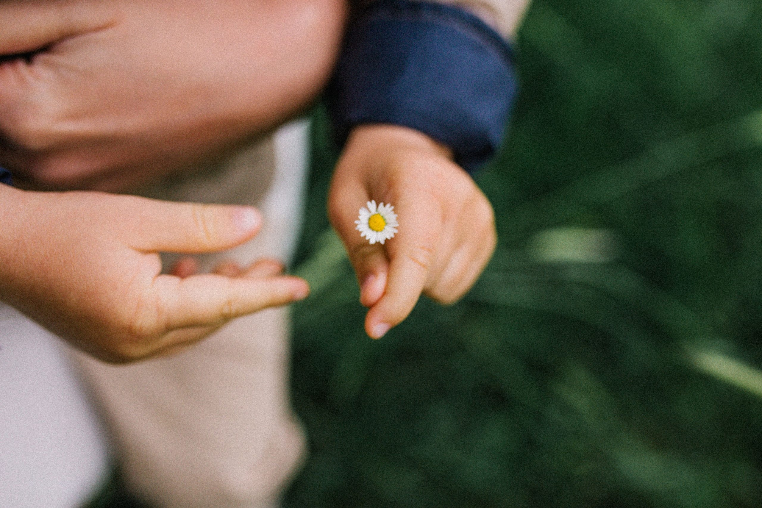 Когда деревья казались большими. Свадебный и семейный фотограф в Варшаве
