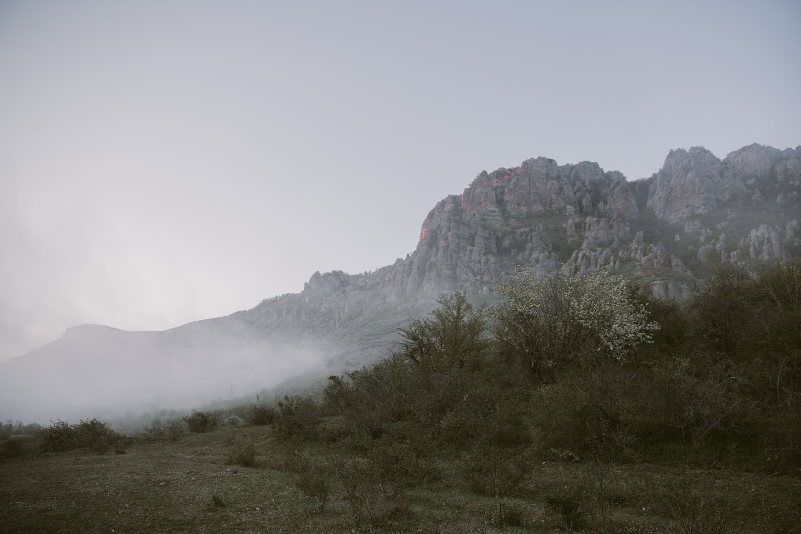 В плену туманов. Свадебный и семейный фотограф в Варшаве