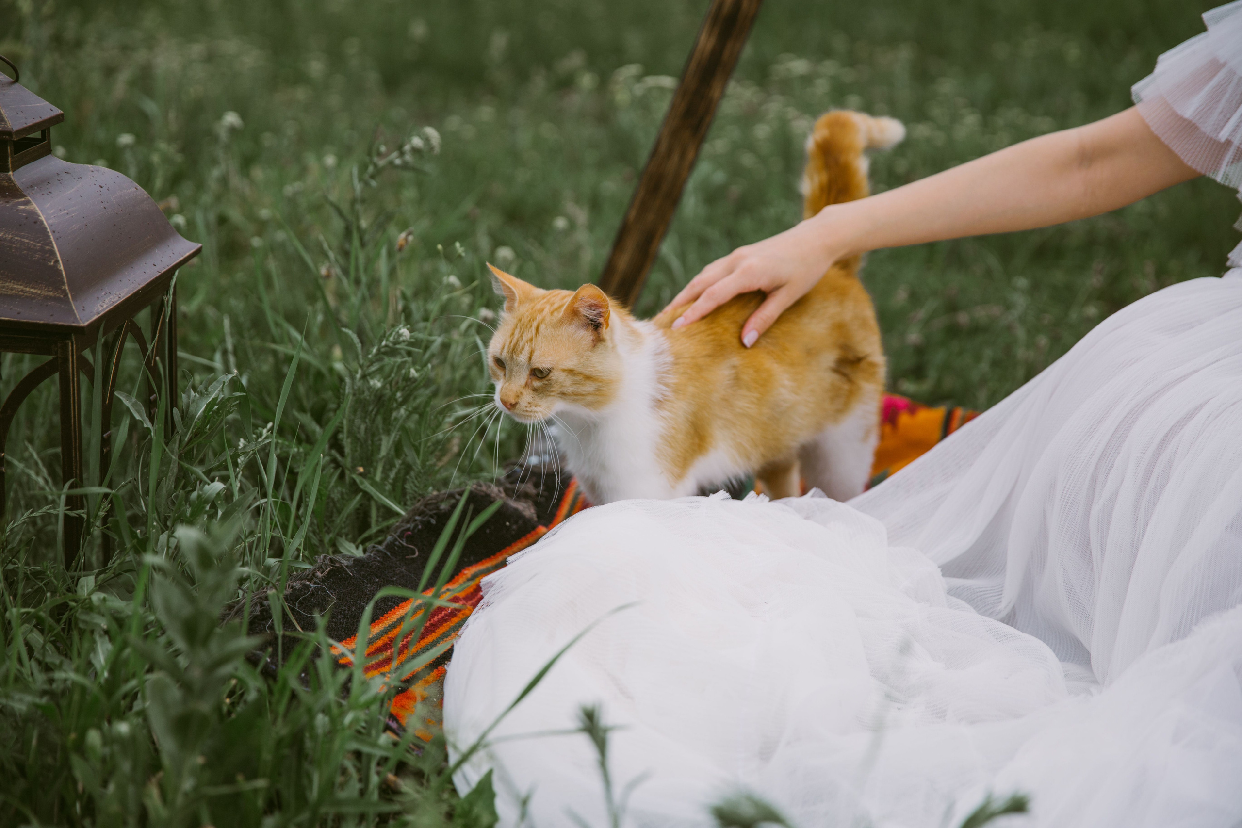 Слушай песню ветра. Свадебный и семейный фотограф в Варшаве