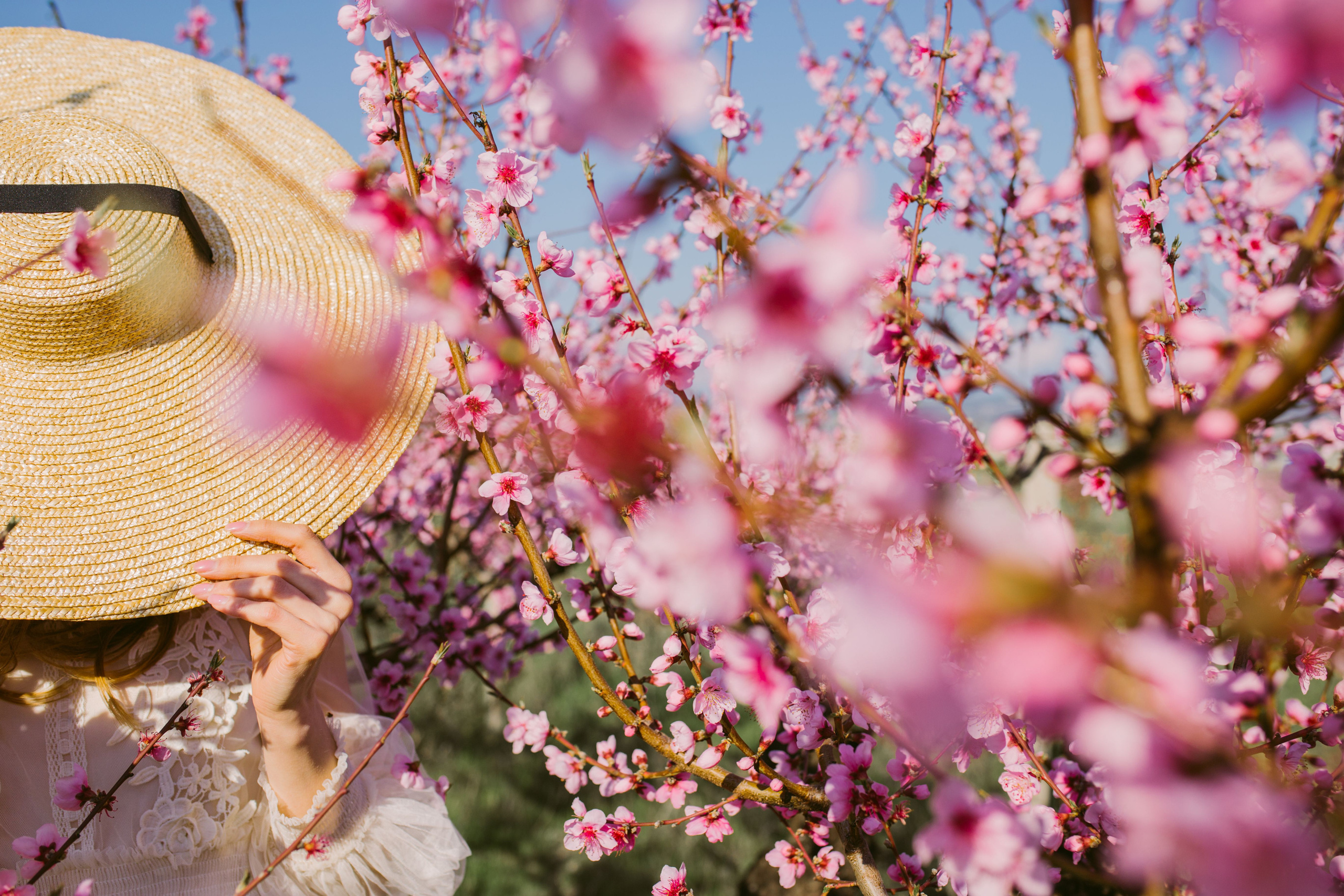Розовая феерия. Свадебный и семейный фотограф в Варшаве