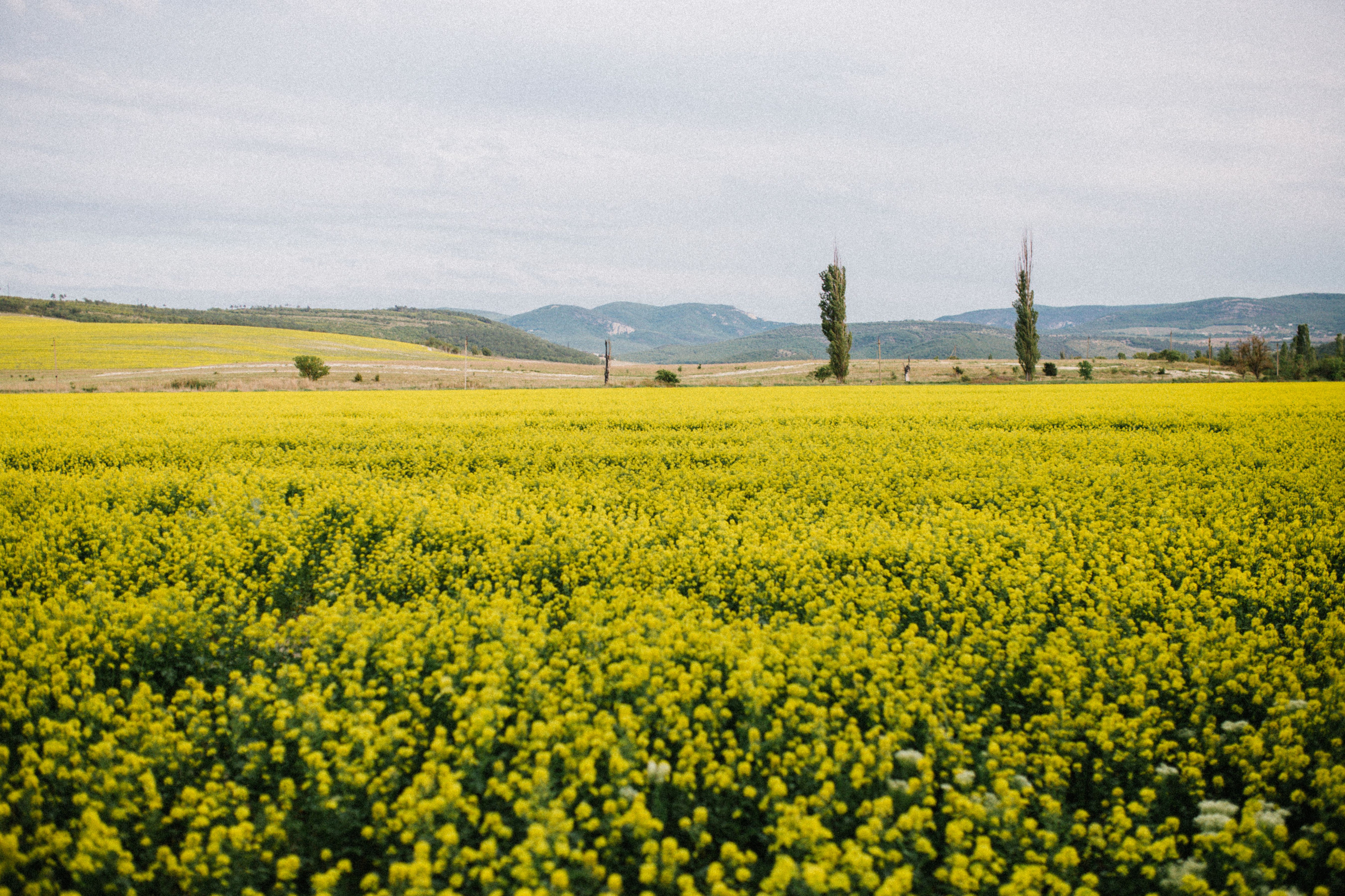 Сейчастье. Свадебный и семейный фотограф в Варшаве
