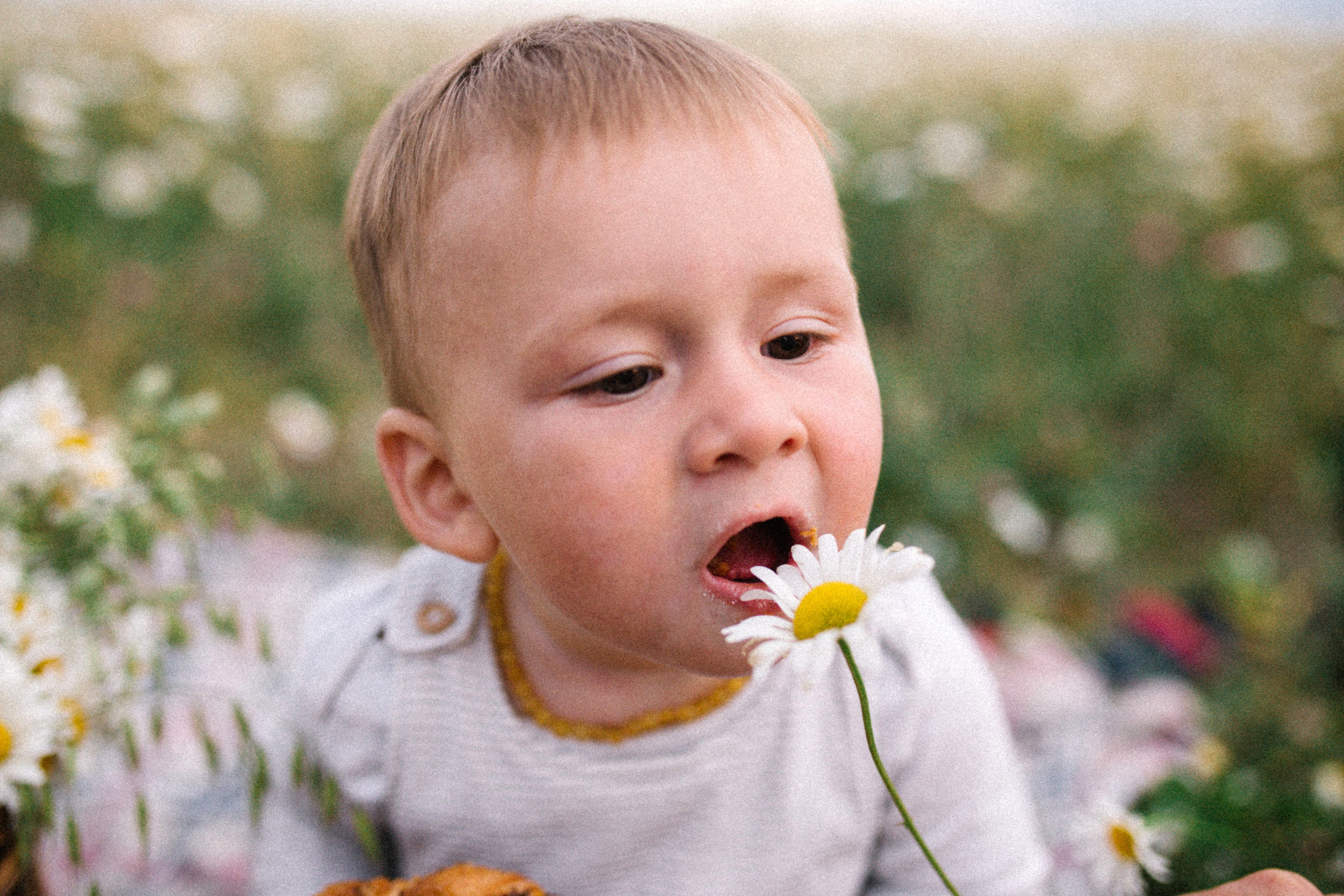 Раз ромашка, два ромашка. Свадебный и семейный фотограф в Варшаве