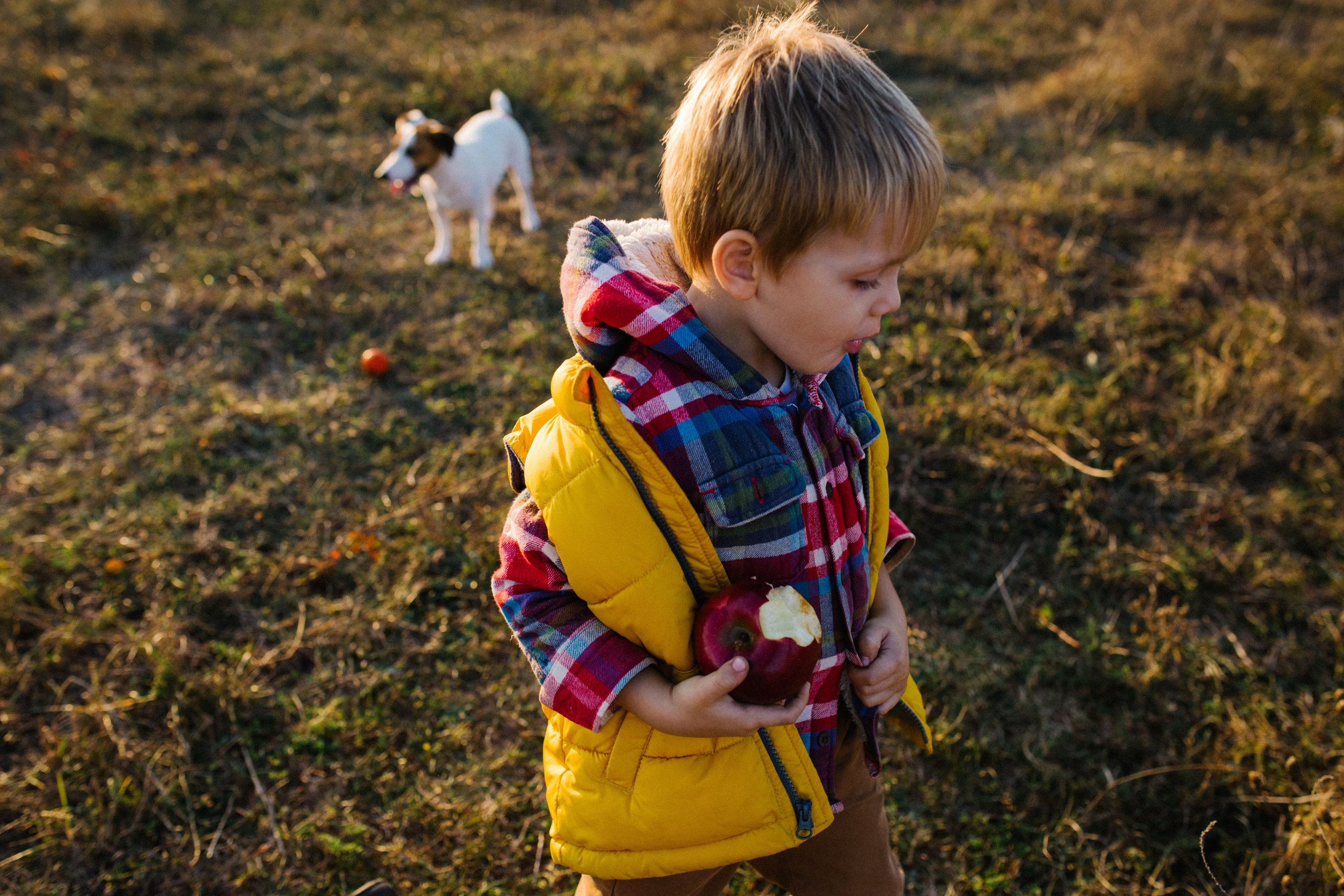 Этот мир принадлежит нам. Свадебный и семейный фотограф в Варшаве