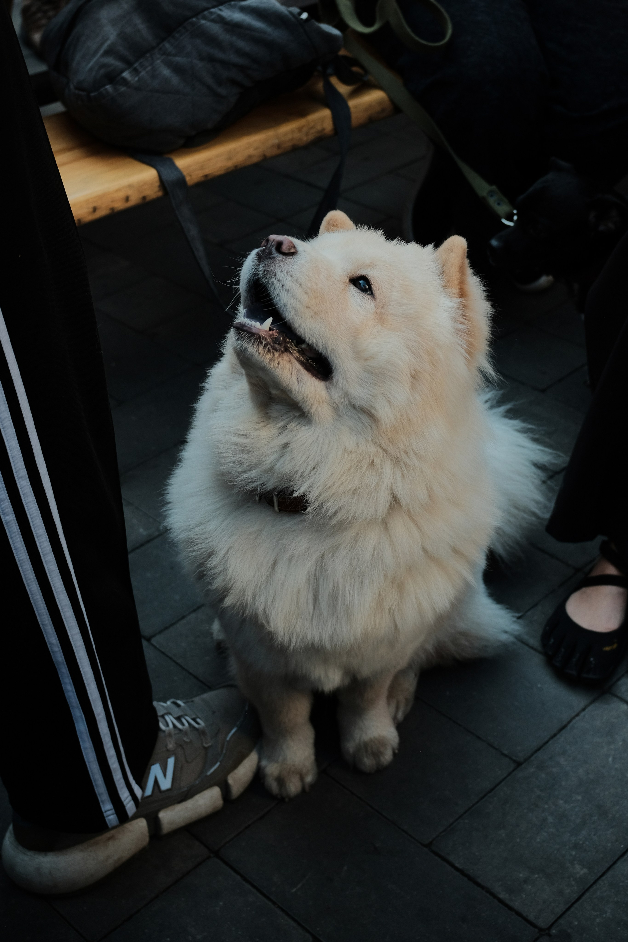 Rostov-on-Don. Creative travel photographer — Berg Daria