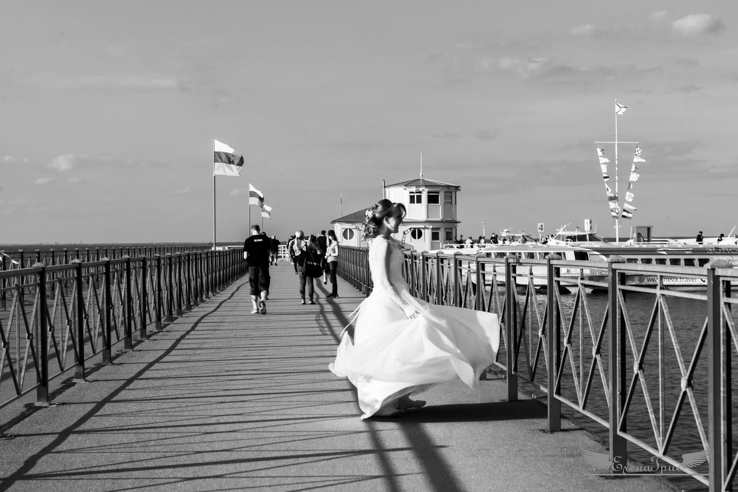 Регистрация в Петергофе, прогулка на метеоре. Елизавета и Роман. Свадебный, семейный и контент фотограф в Санкт- Петербурге Елена Грие