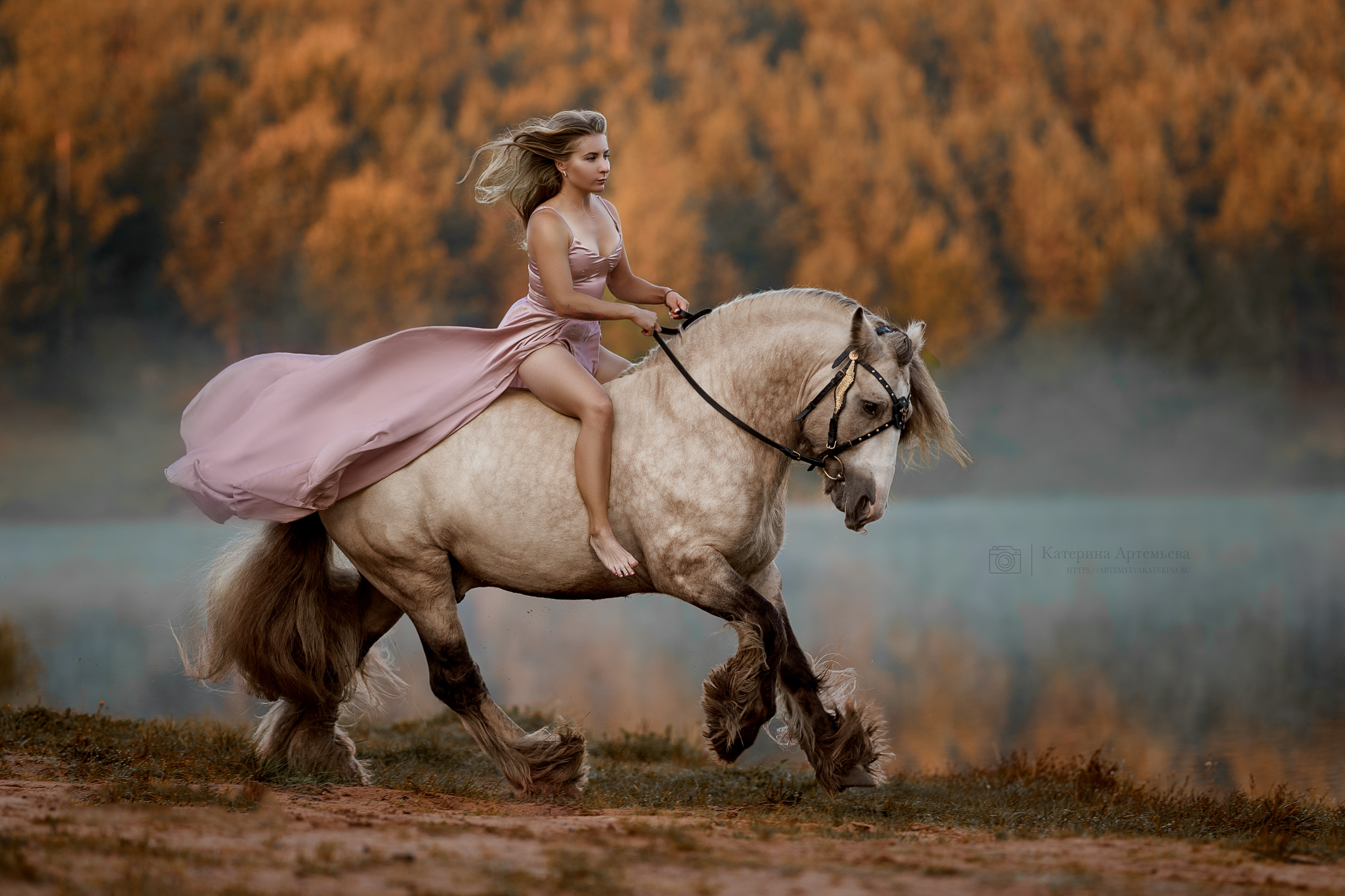 Фотосессии с лошадьми. Фотограф Артемьева Катерина|фотосессии с лошадьми