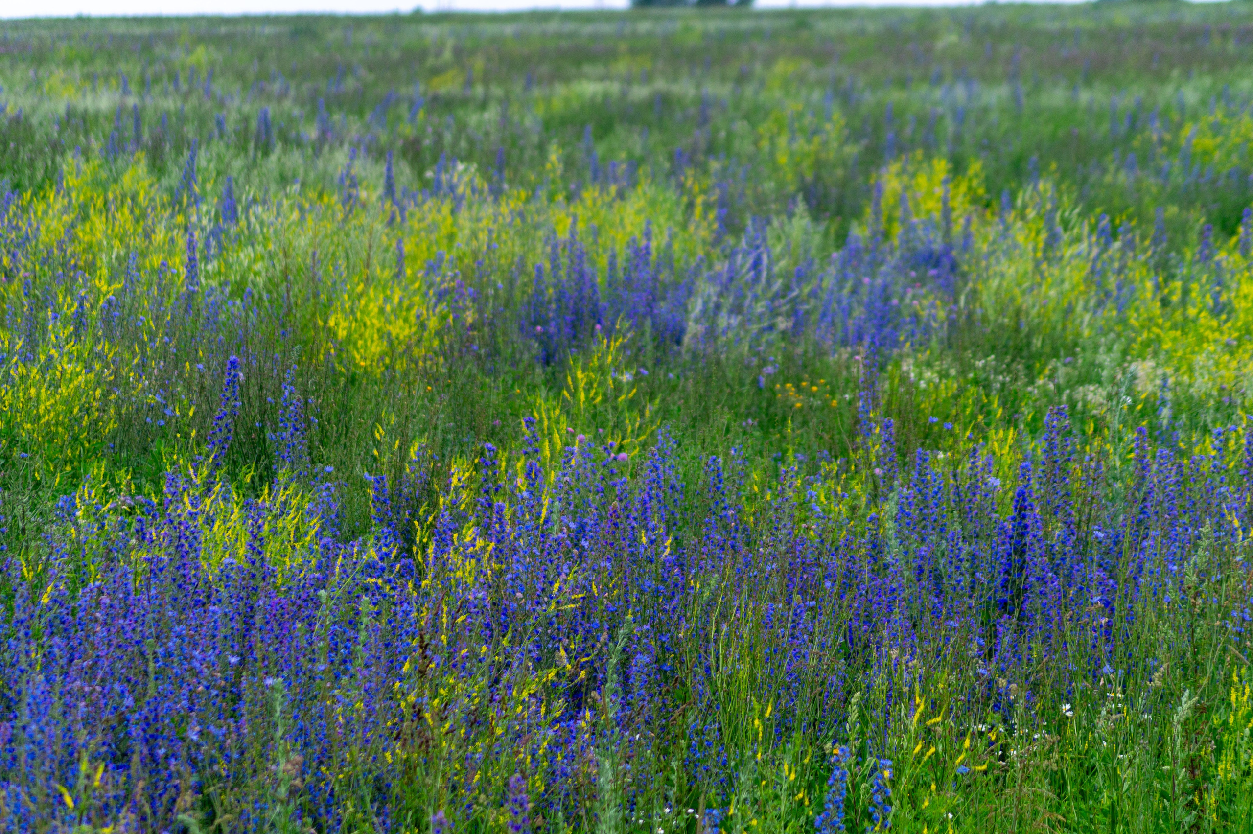 Г. Вятские Поляны лето 2025. Портретный и семейный фотограф Санкт-Петербург