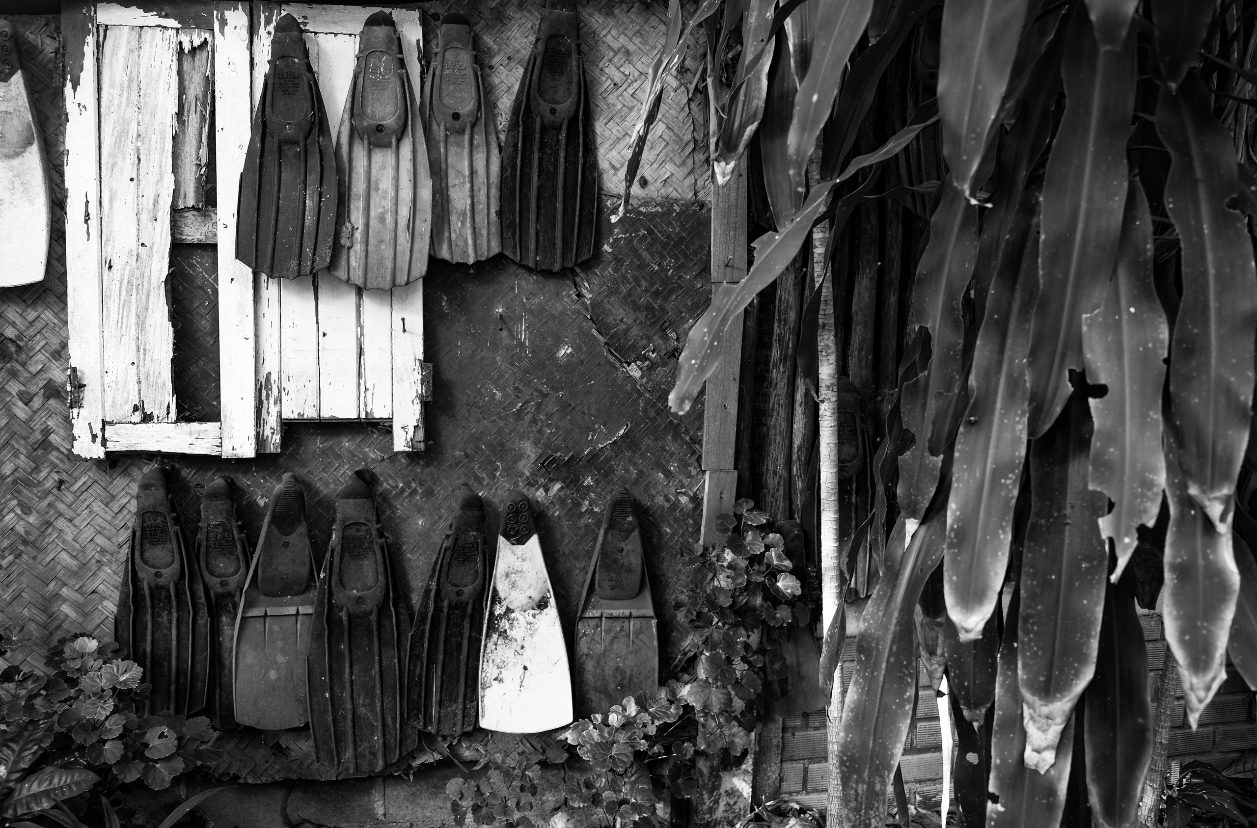 Street/ Thailand/ 2020. Anna Fedo Photo