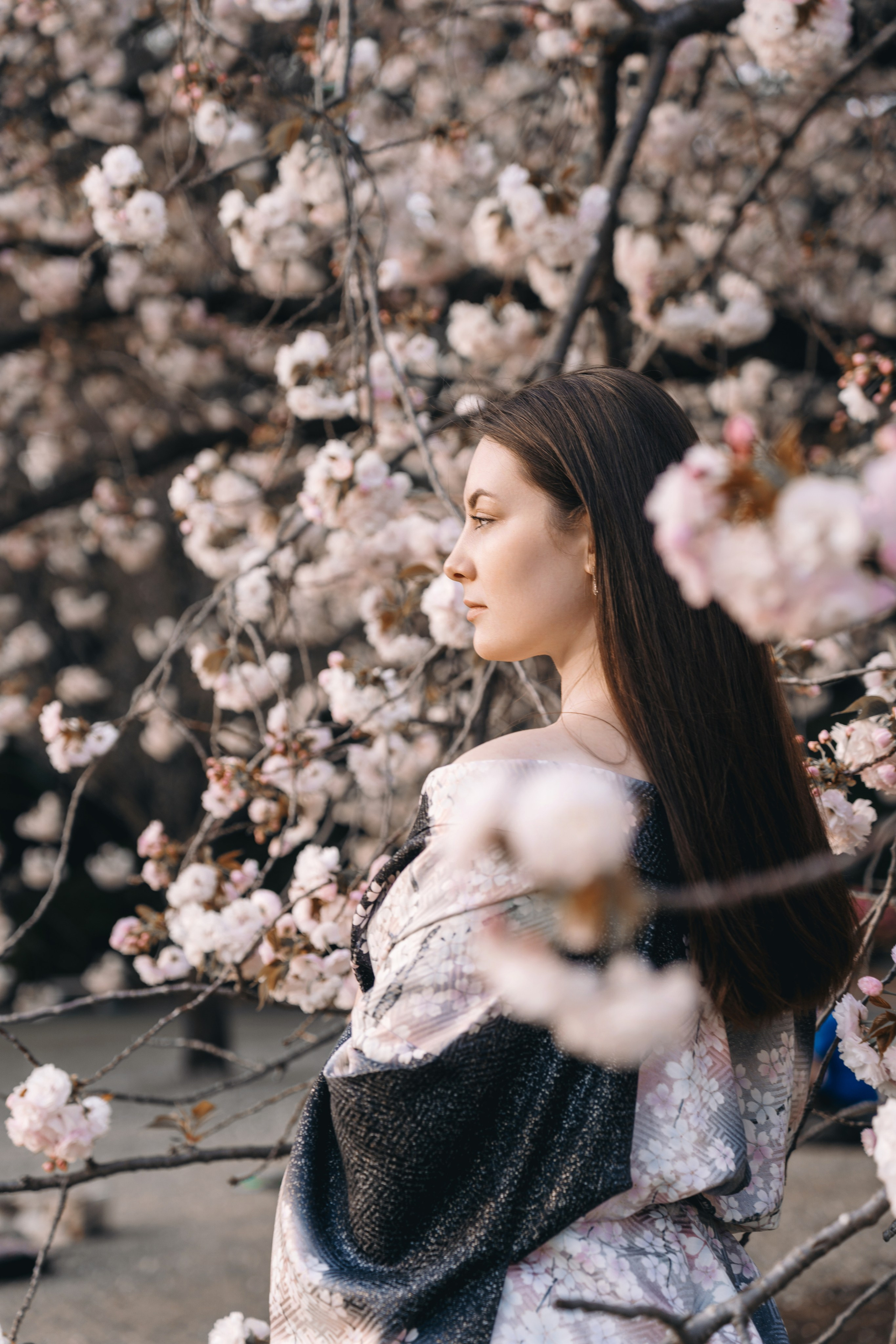 Sakura. Фотограф Алина Диева Москва | Токио