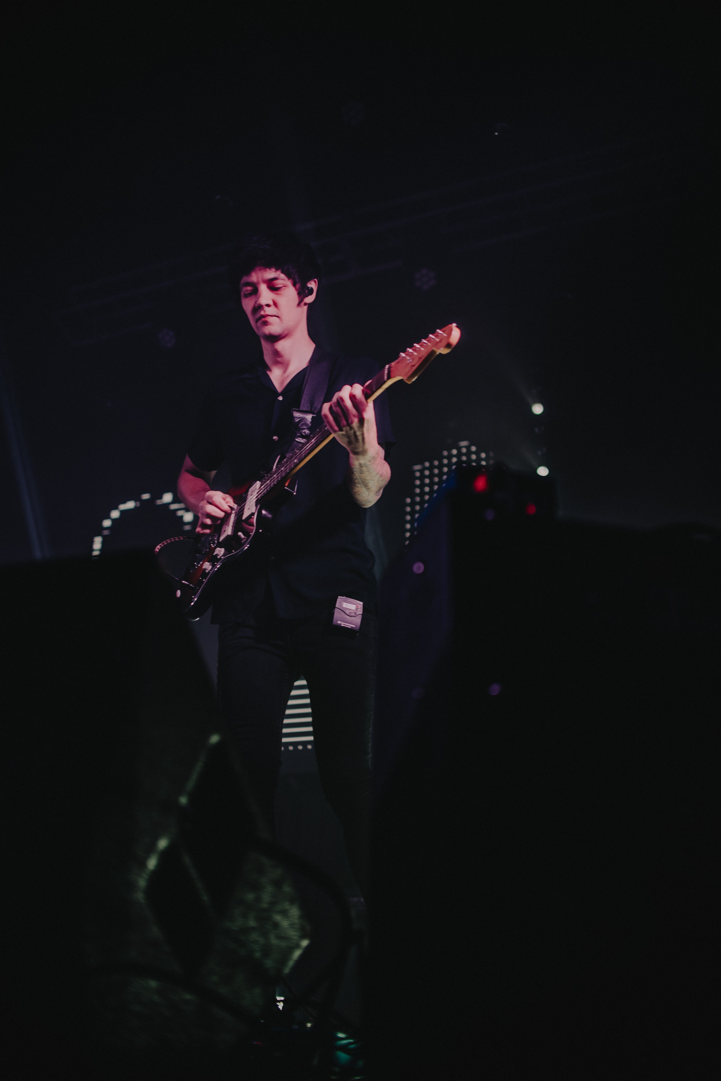 Дельфин | Gaudi. Контент фотограф Илья Урс