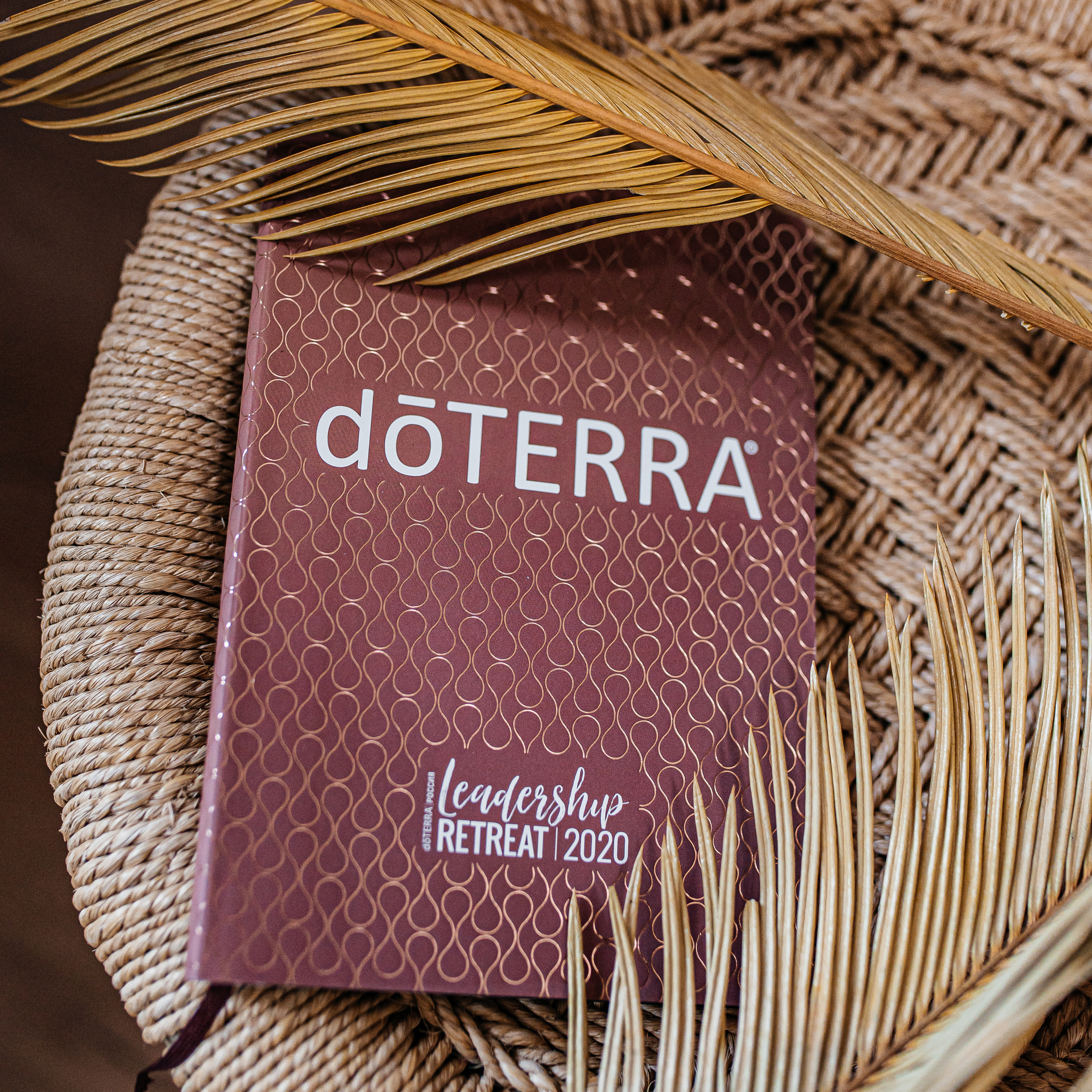 Елена масла Dottera/психолог. Семейный и детский фотограф в Туле